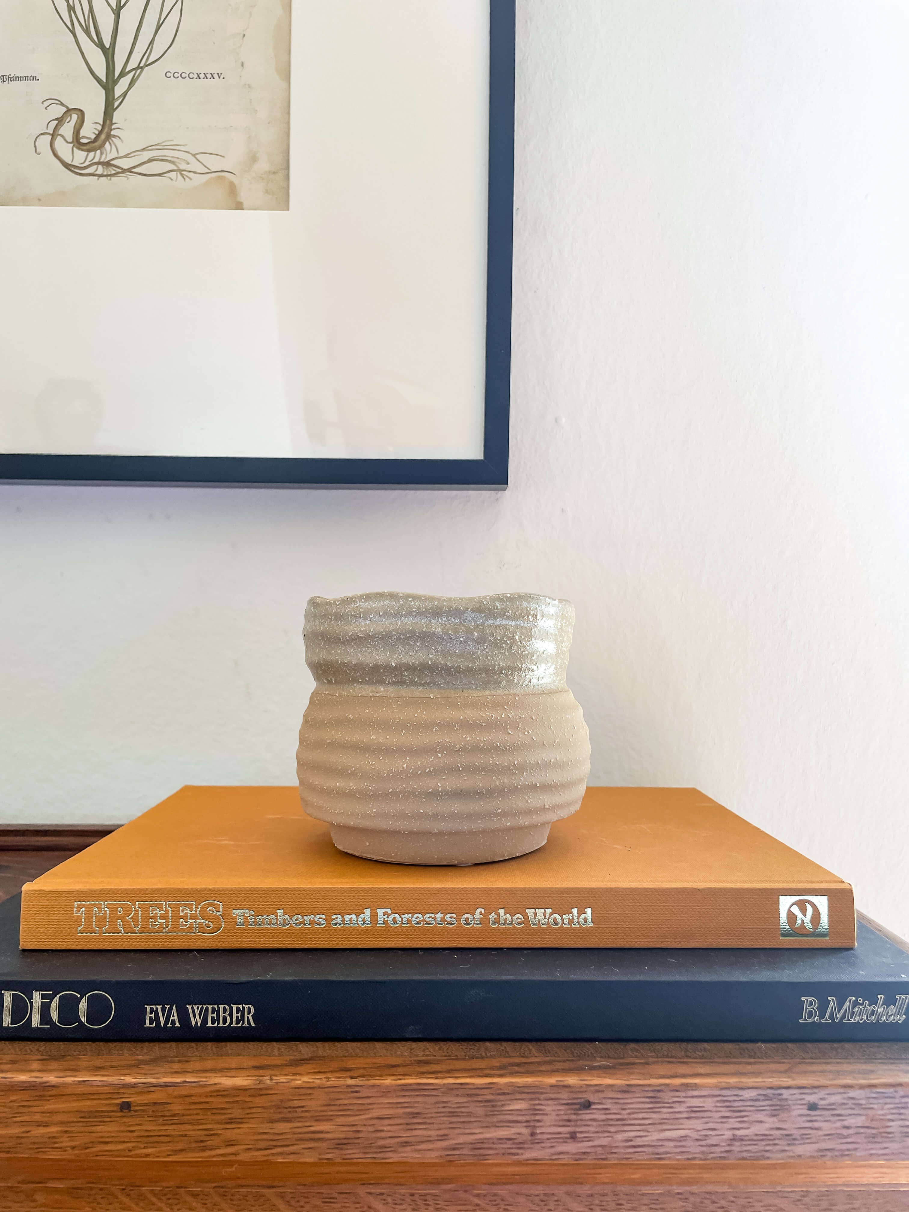 Marisol Planter – Speckled Ceramic Pot with Drainage: Medium 5"