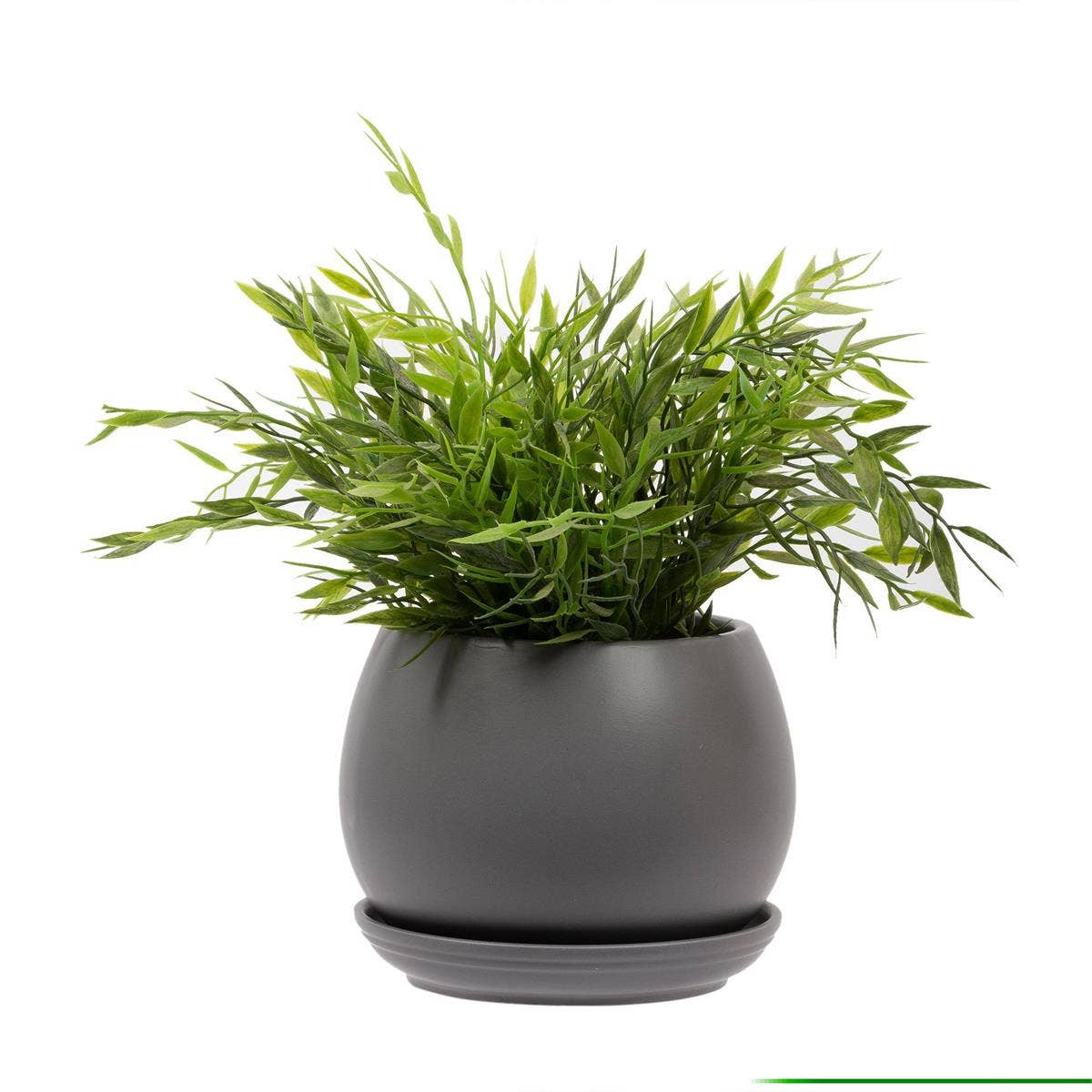 Truu Design Matte Ceramic Planter 6"D: Black