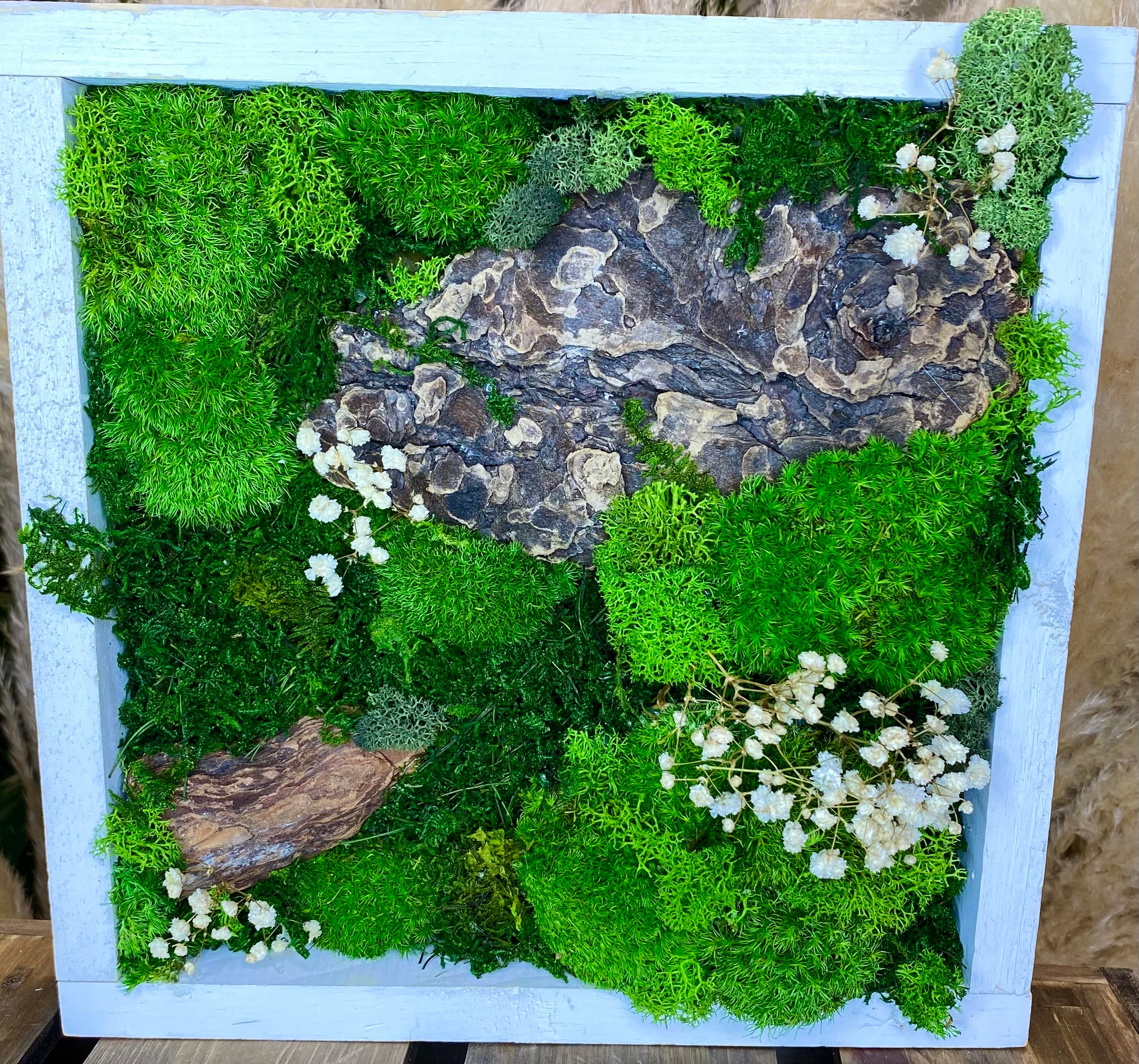 Moss Art Frames (A1)