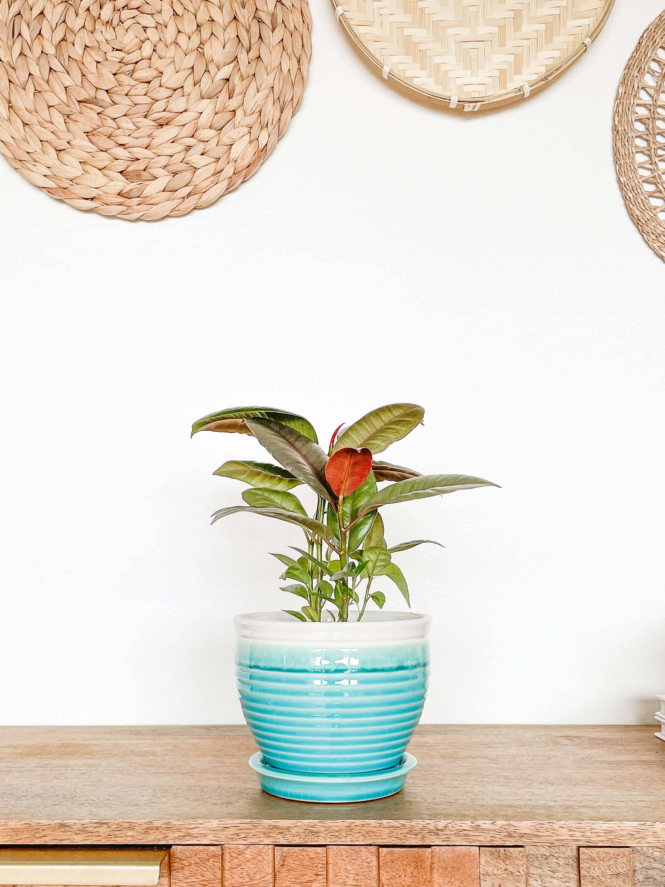Lia Ceramic Planter Pot, Drainage Hole and Attached Saucer