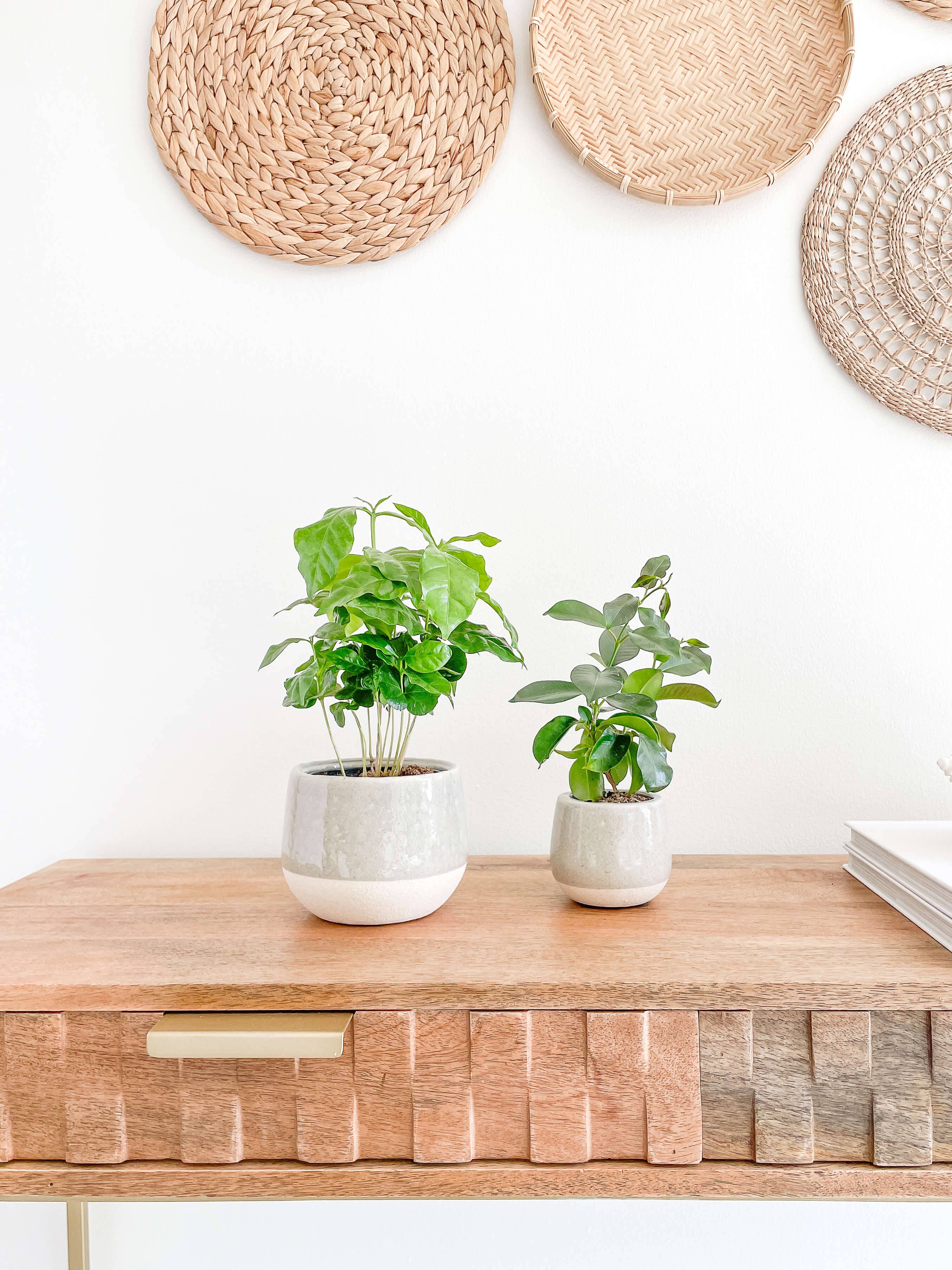 Mia Ceramic Planter Pots, Cracked Pattern Design Planters: Small 3.75"