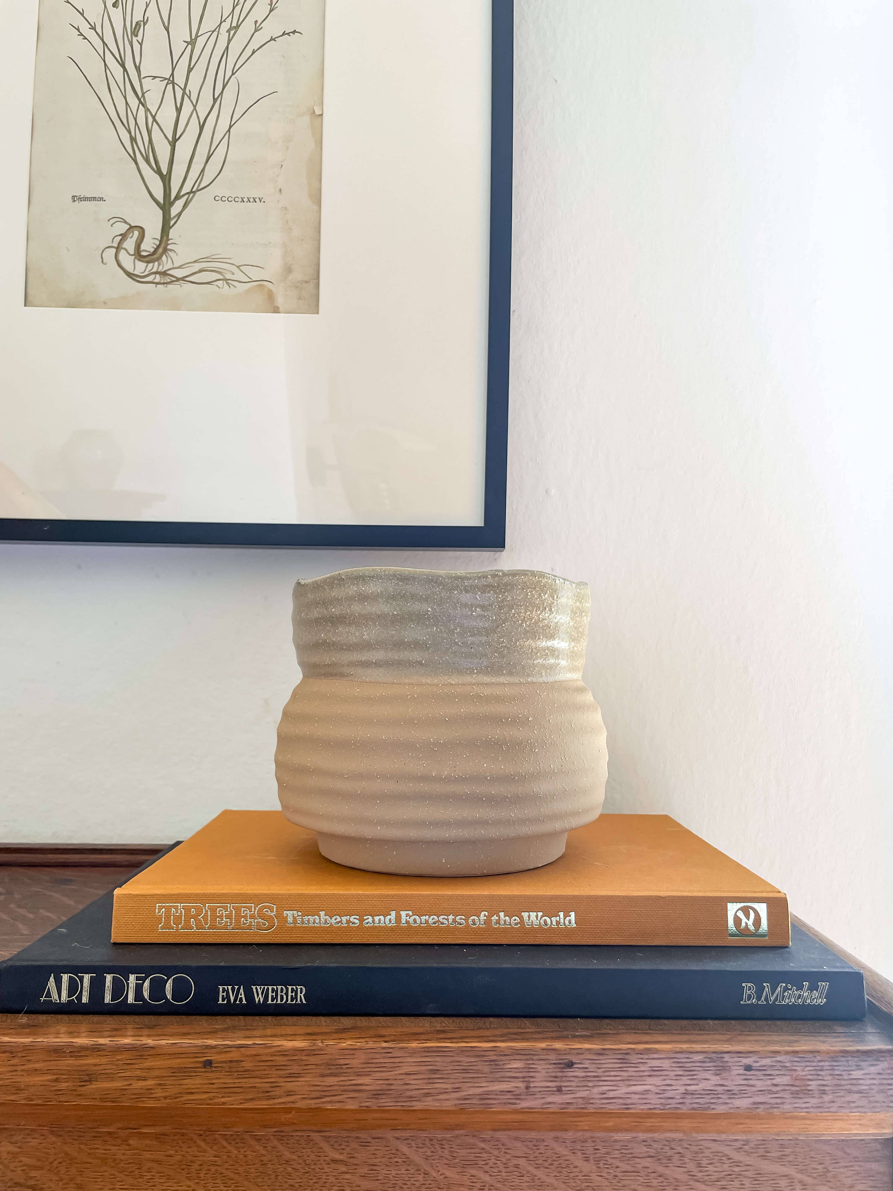 Marisol Planter – Speckled Ceramic Pot with Drainage: Medium 5"