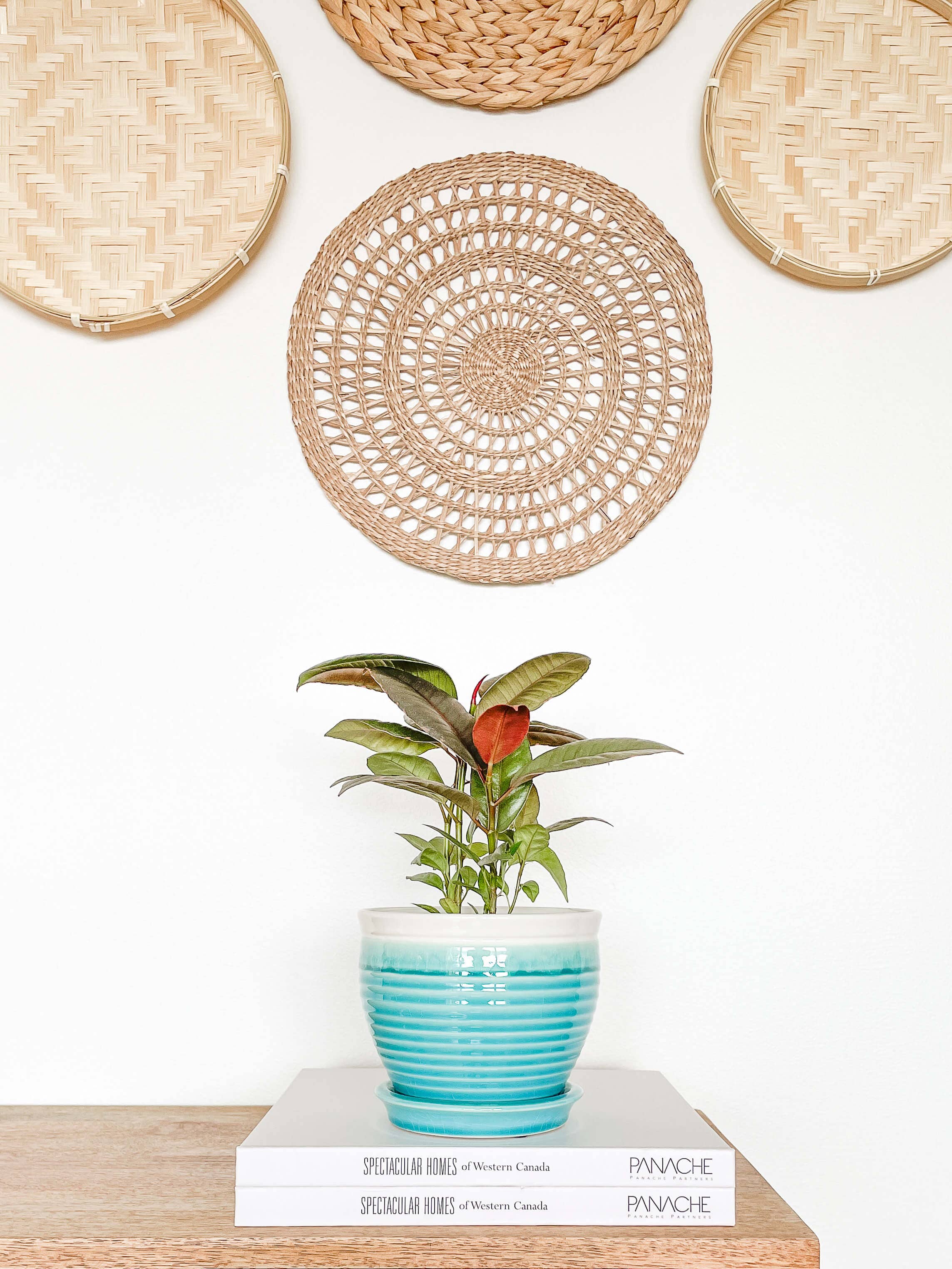 Lia Ceramic Planter Pot, Drainage Hole and Attached Saucer