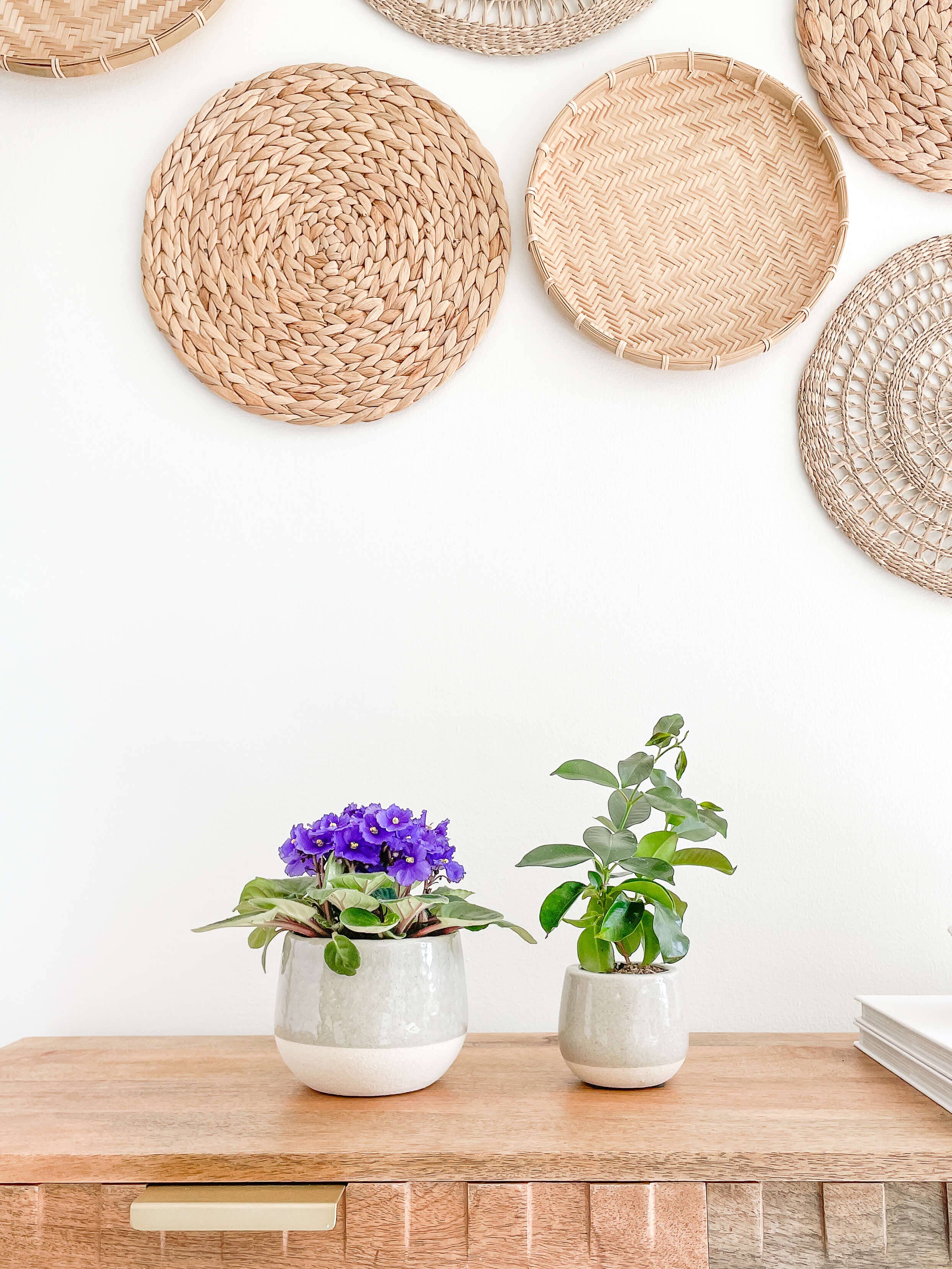 Mia Ceramic Planter Pots, Cracked Pattern Design Planters: Small 3.75"