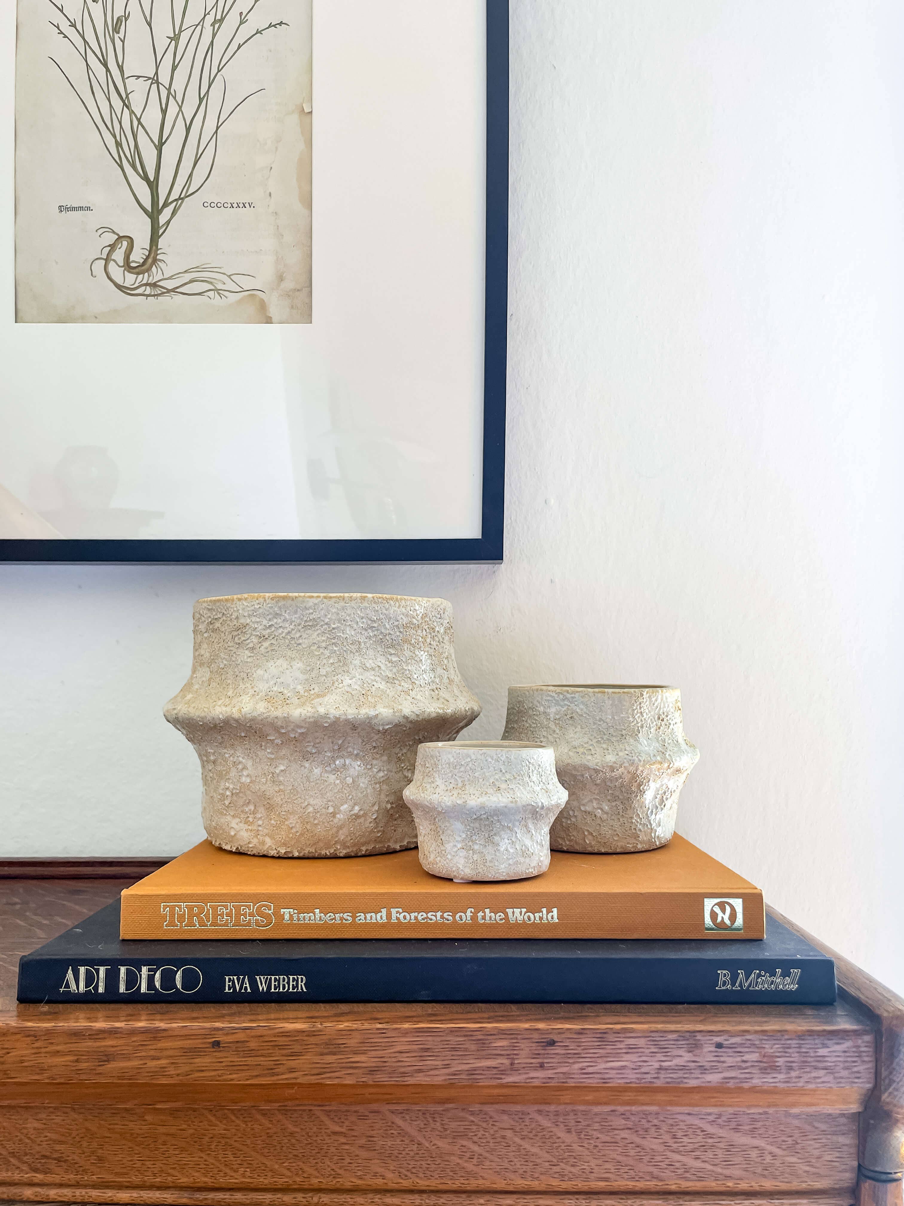 Solene Planter – Textured Ceramic Pot with Drainage: Medium 5.25"