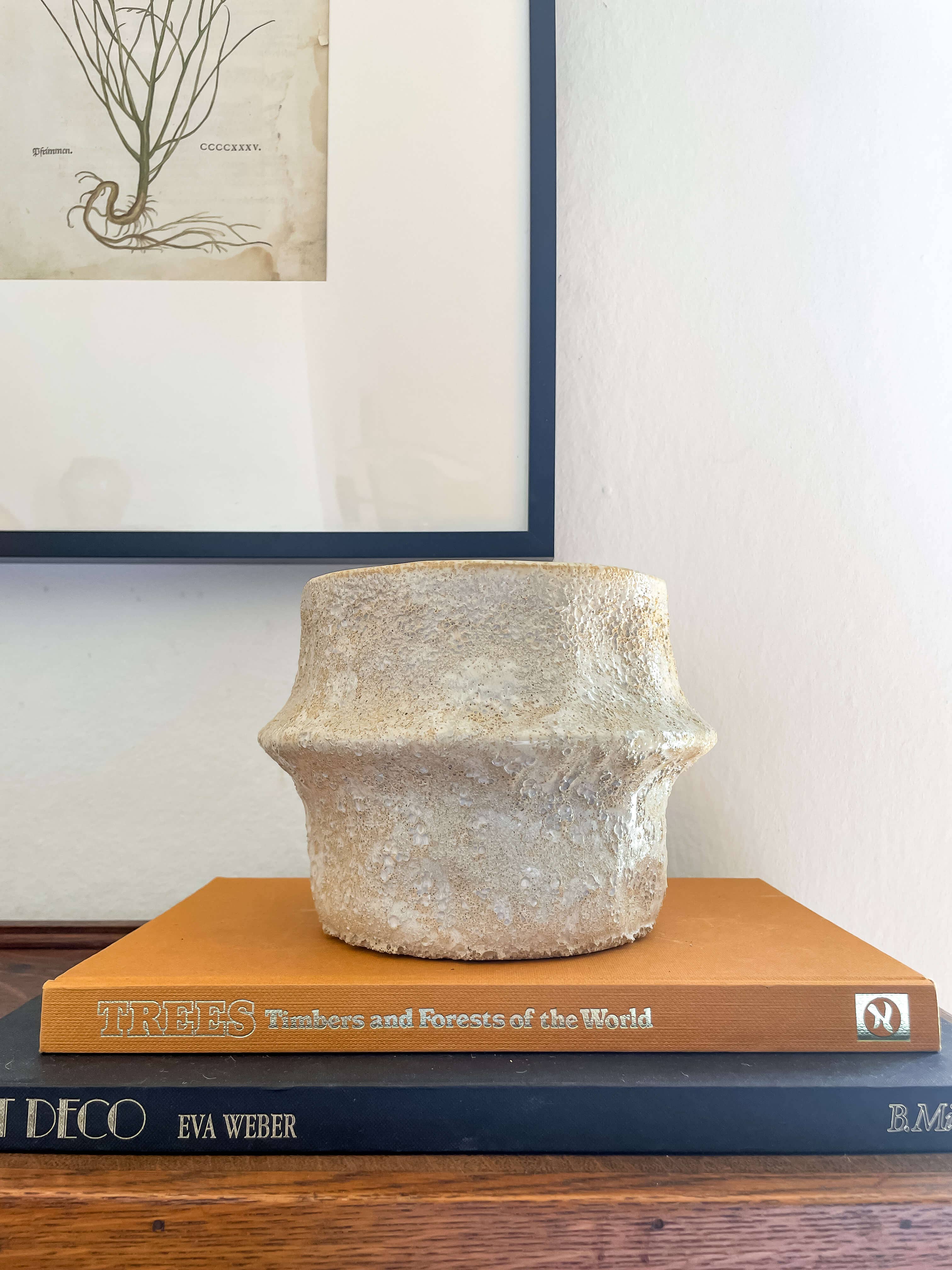 Solene Planter – Textured Ceramic Pot with Drainage: Medium 5.25"