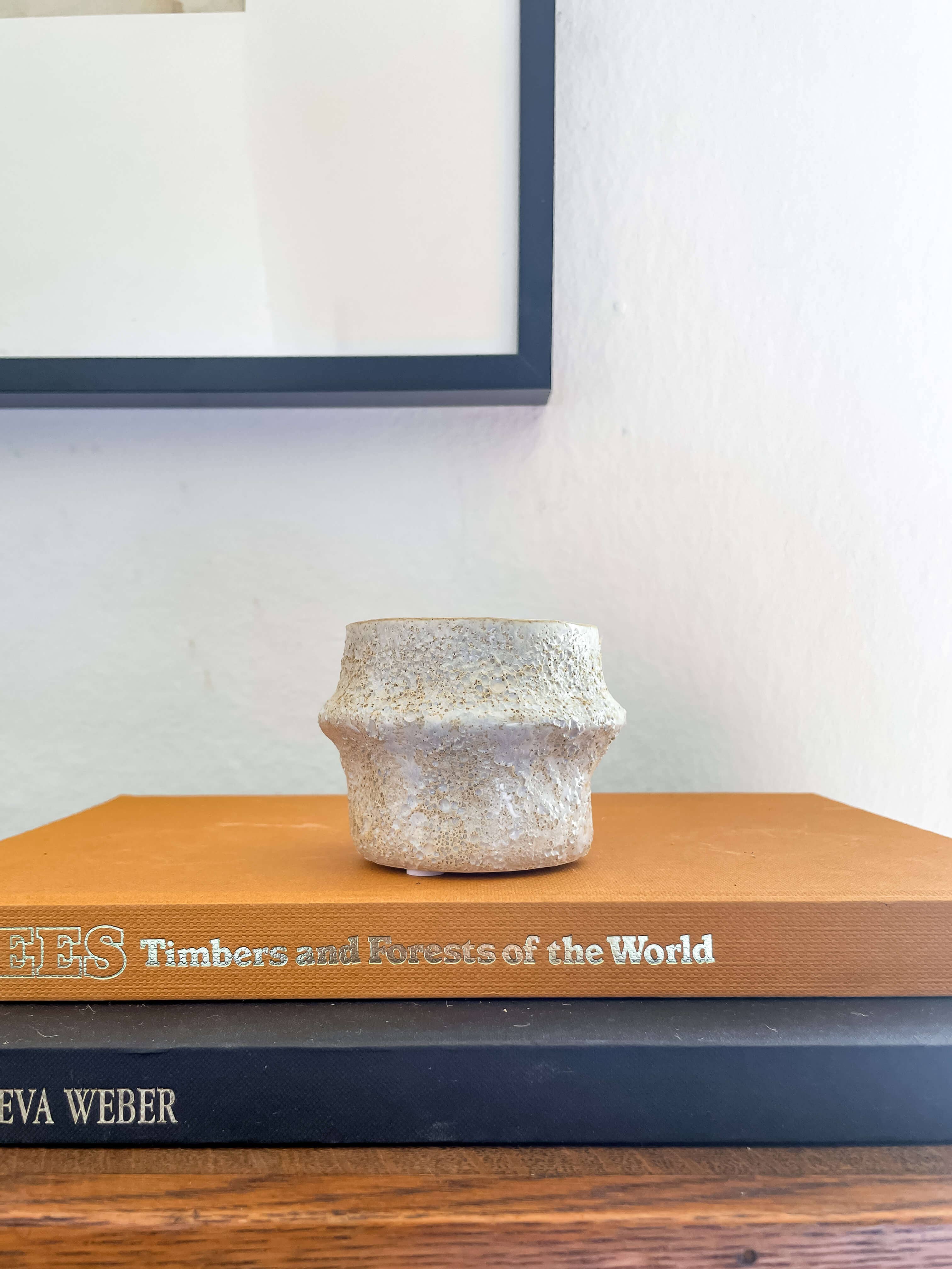 Solene Planter – Textured Ceramic Pot with Drainage: Medium 5.25"