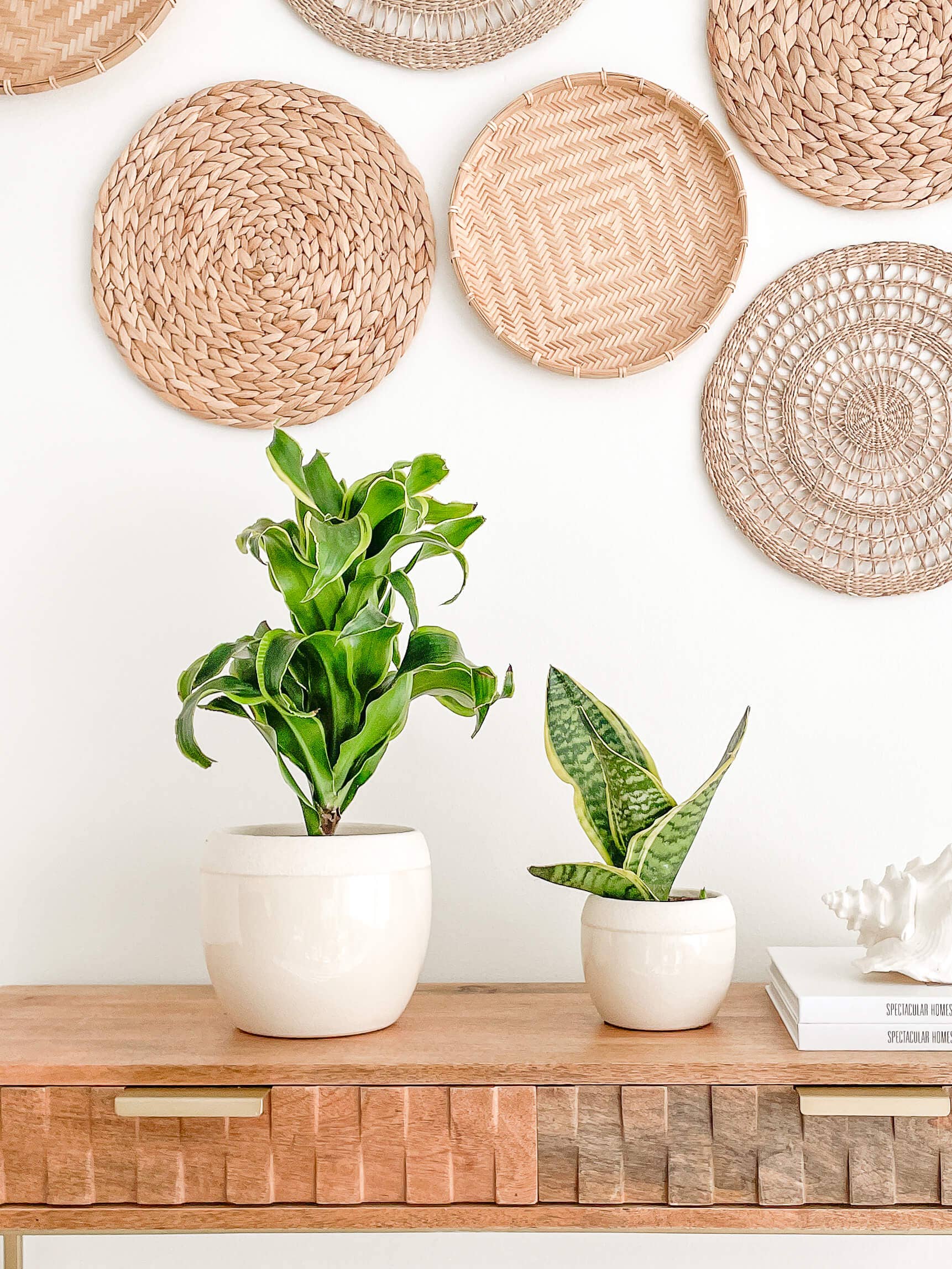 Maya Ceramic Planters Pots, Cracked Pattern Design: Medium 5.25"