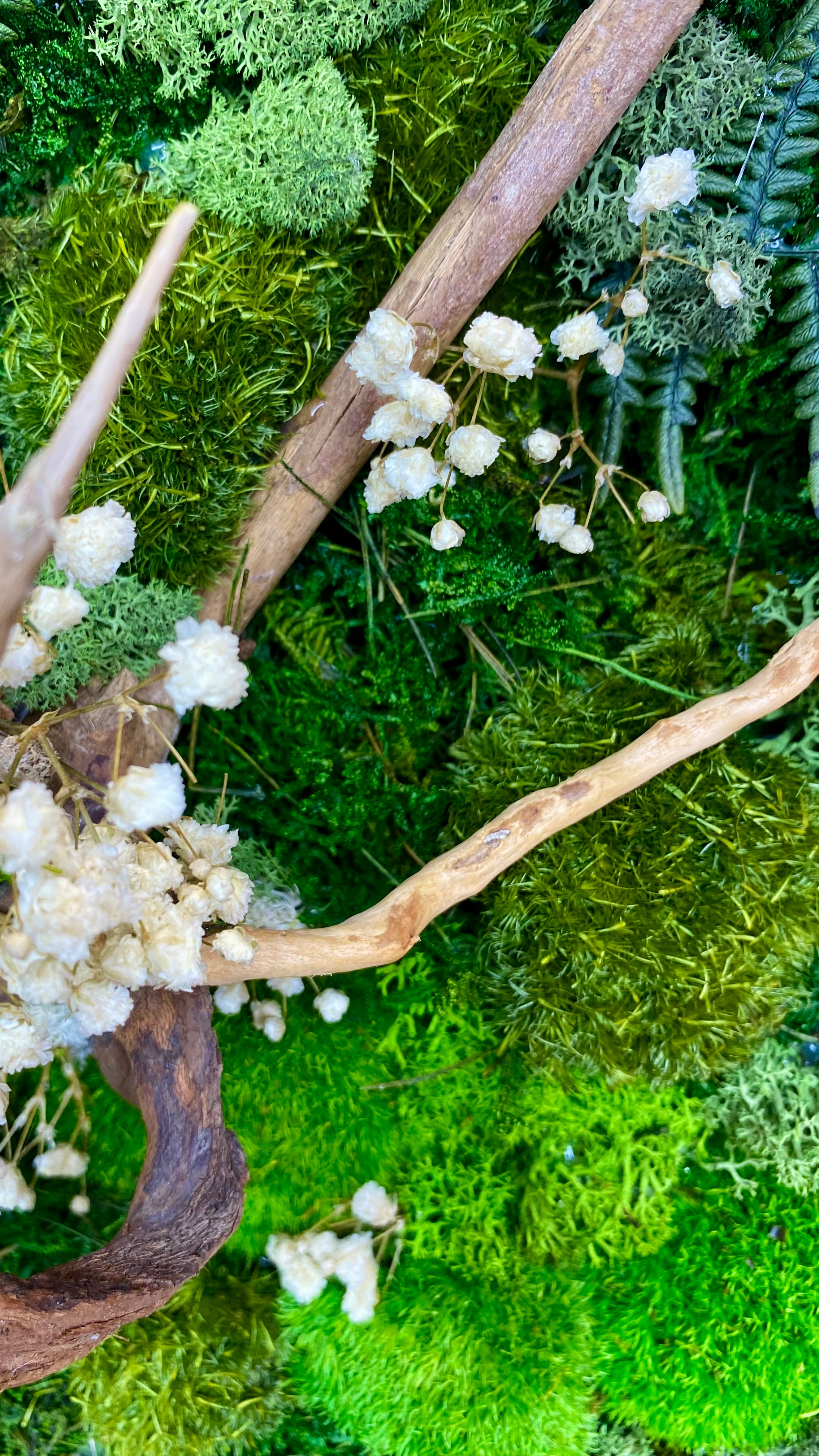 Moss Art Frames (A3)