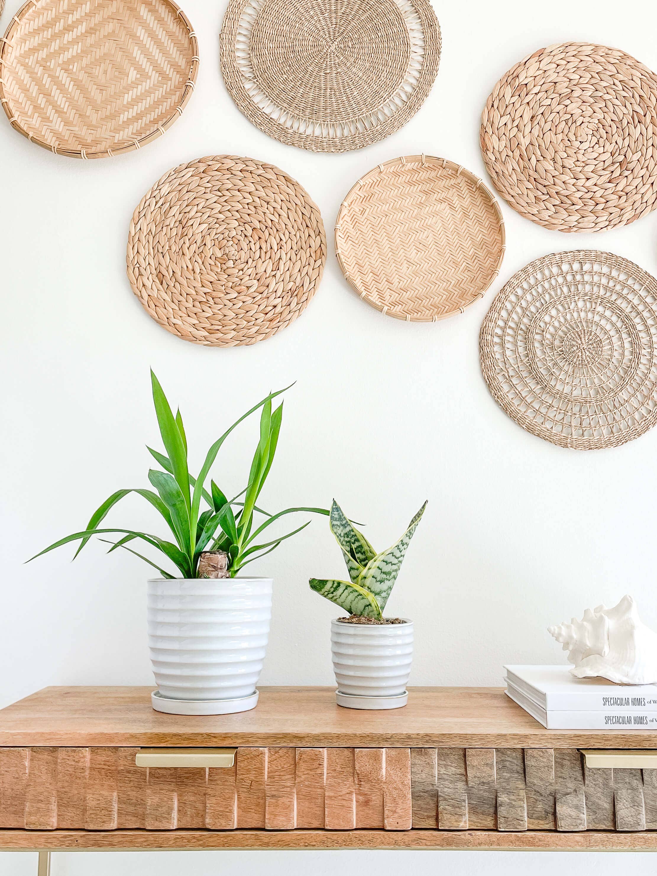 Nora Ceramic Planters Pots, Attached Saucer Drainage Hole: Medium 4.75"