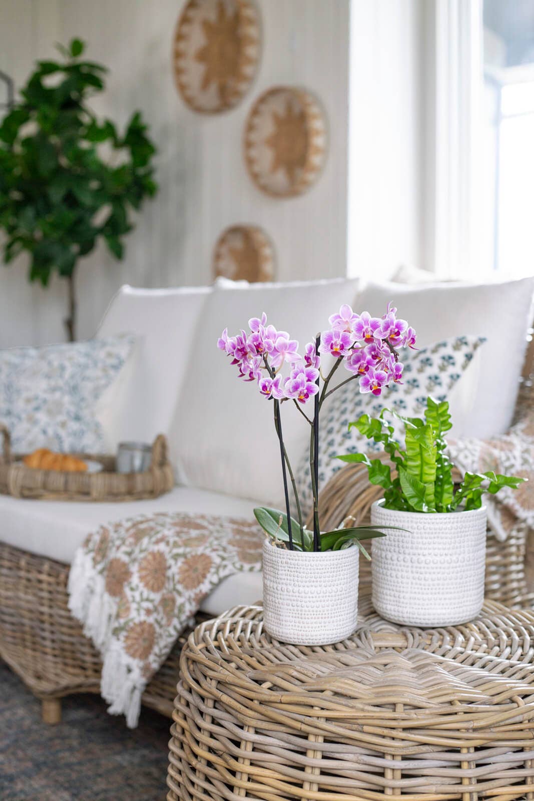 LARGE TEXTURED WHITE POT