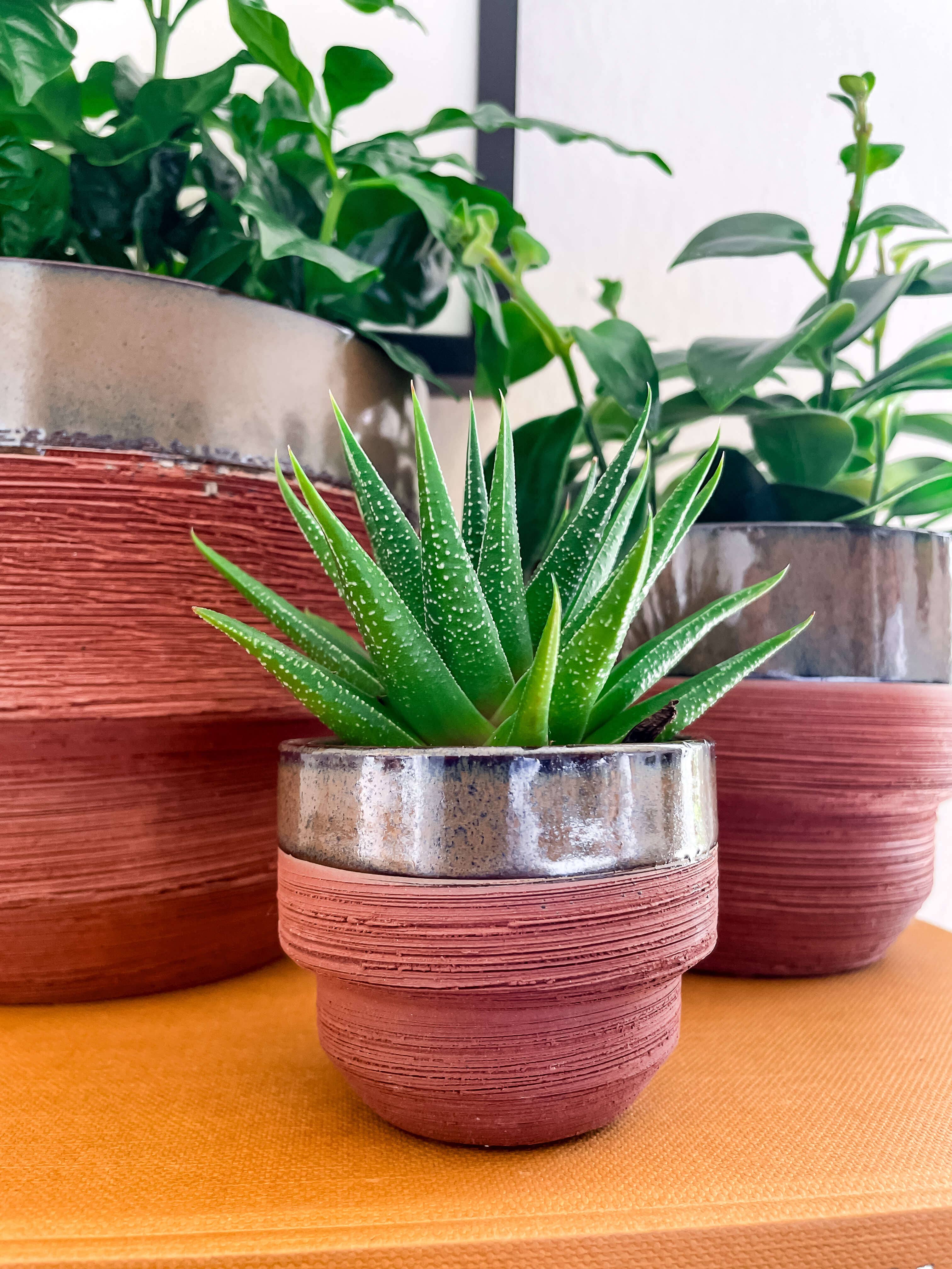 Freya Planter – Two-Tone Ceramic Pot with Drainage: Medium 5"