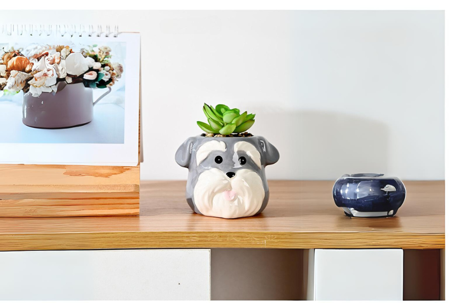 Puppy Set
