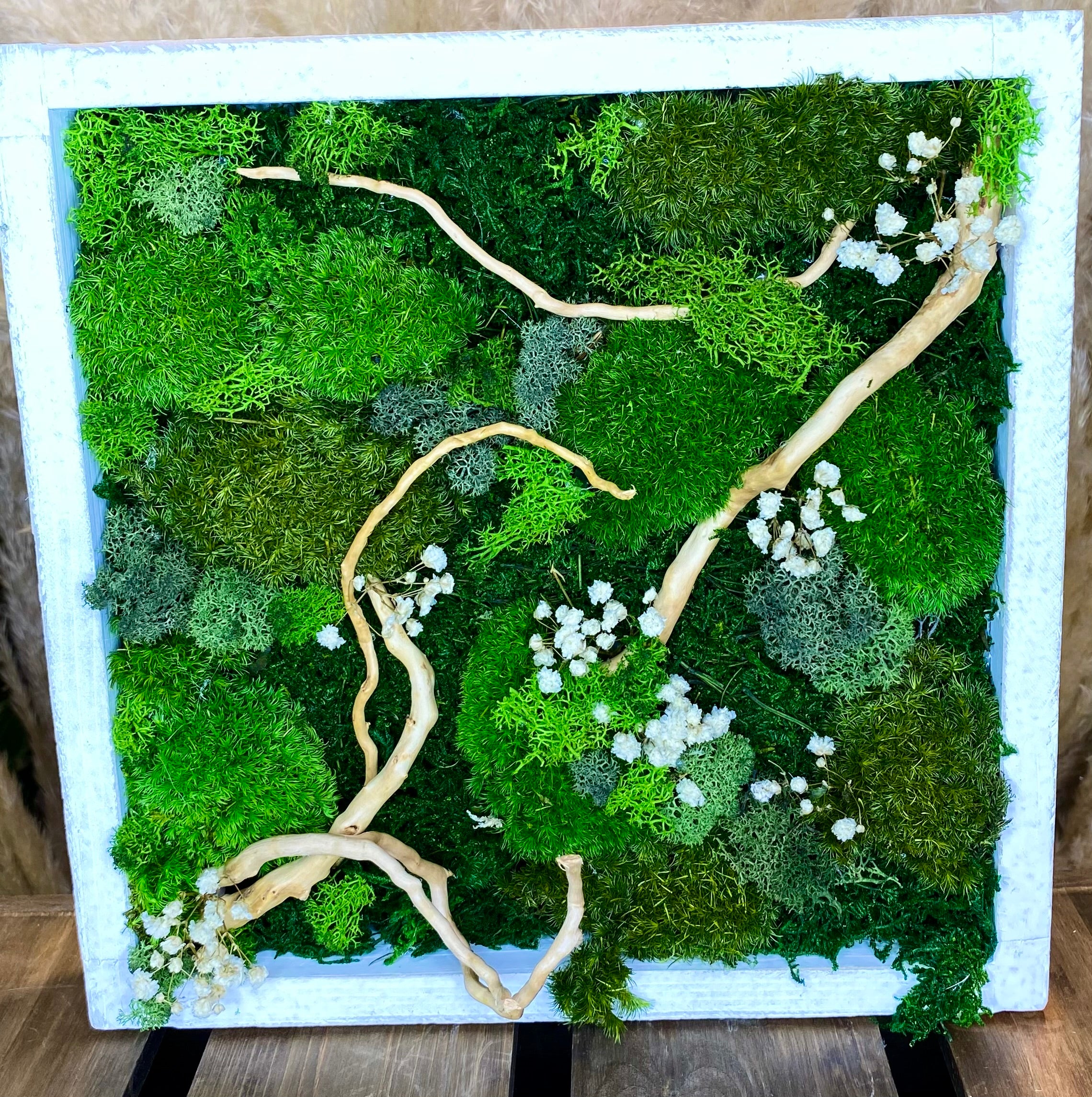 Moss Art Frames (A2)