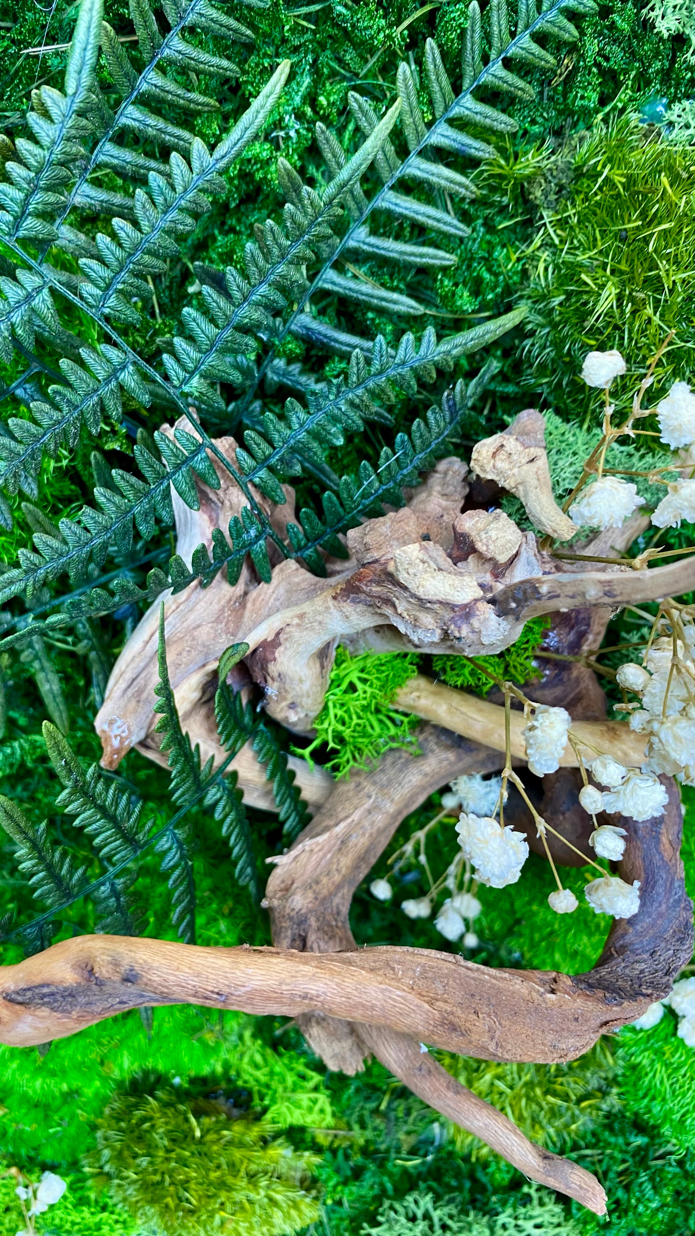 Moss Art Frames (A3)