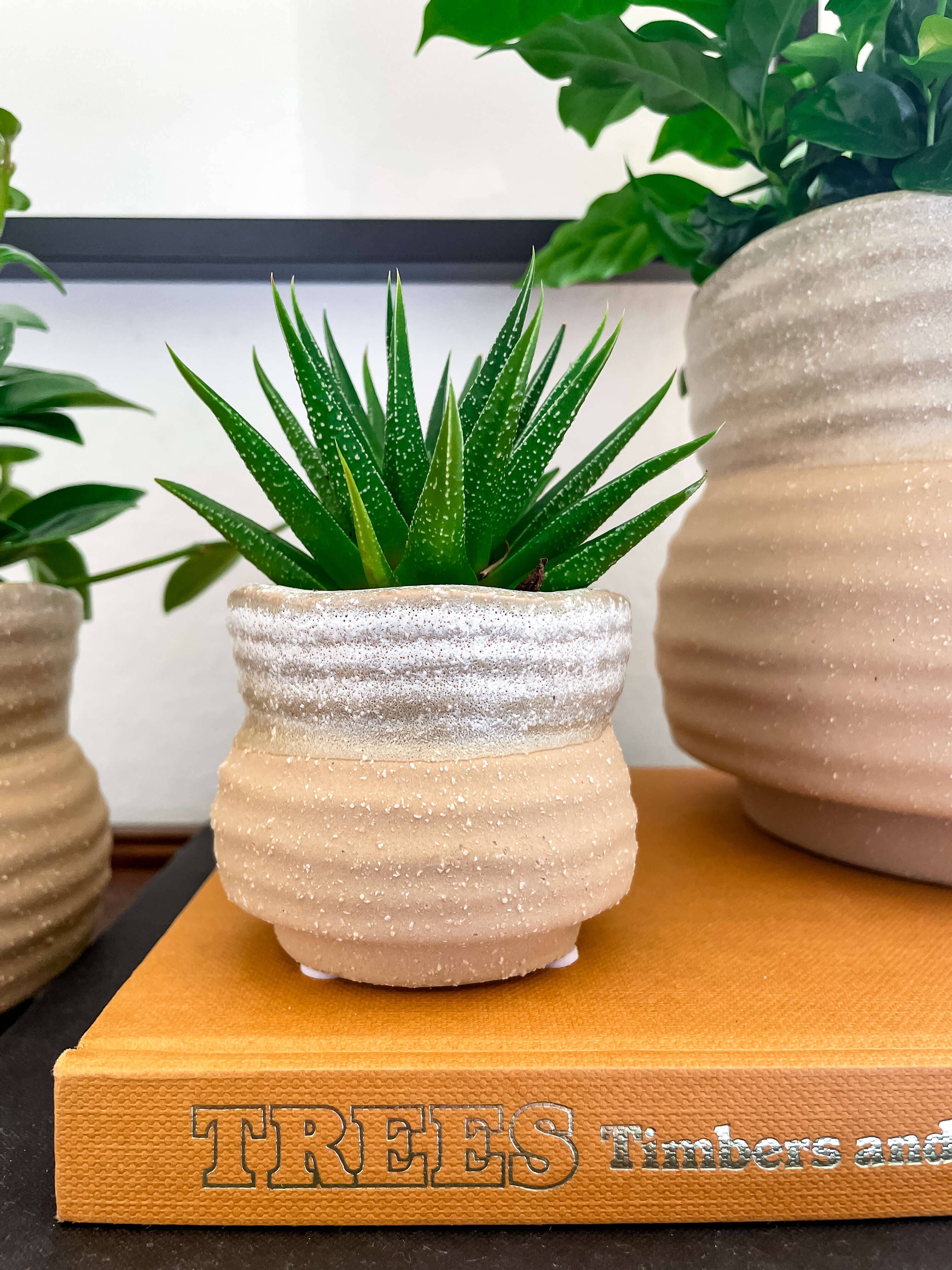 Marisol Planter – Speckled Ceramic Pot with Drainage: Medium 5"