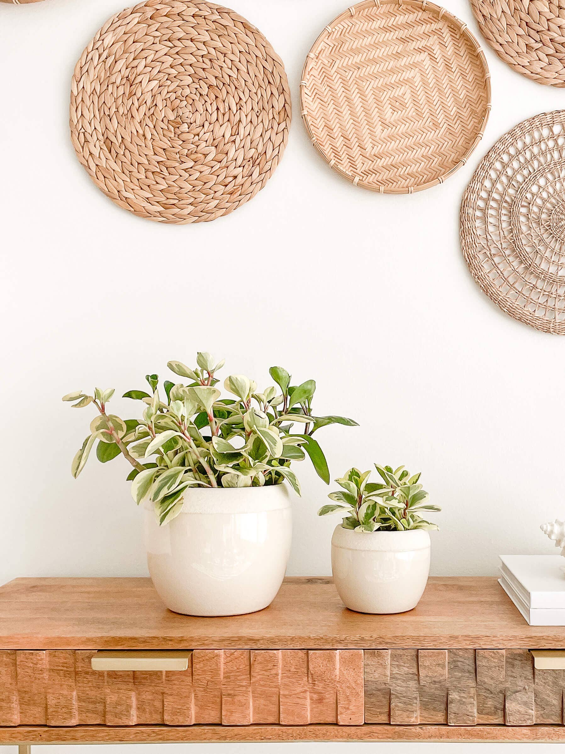 Maya Ceramic Planters Pots, Cracked Pattern Design: Medium 5.25"