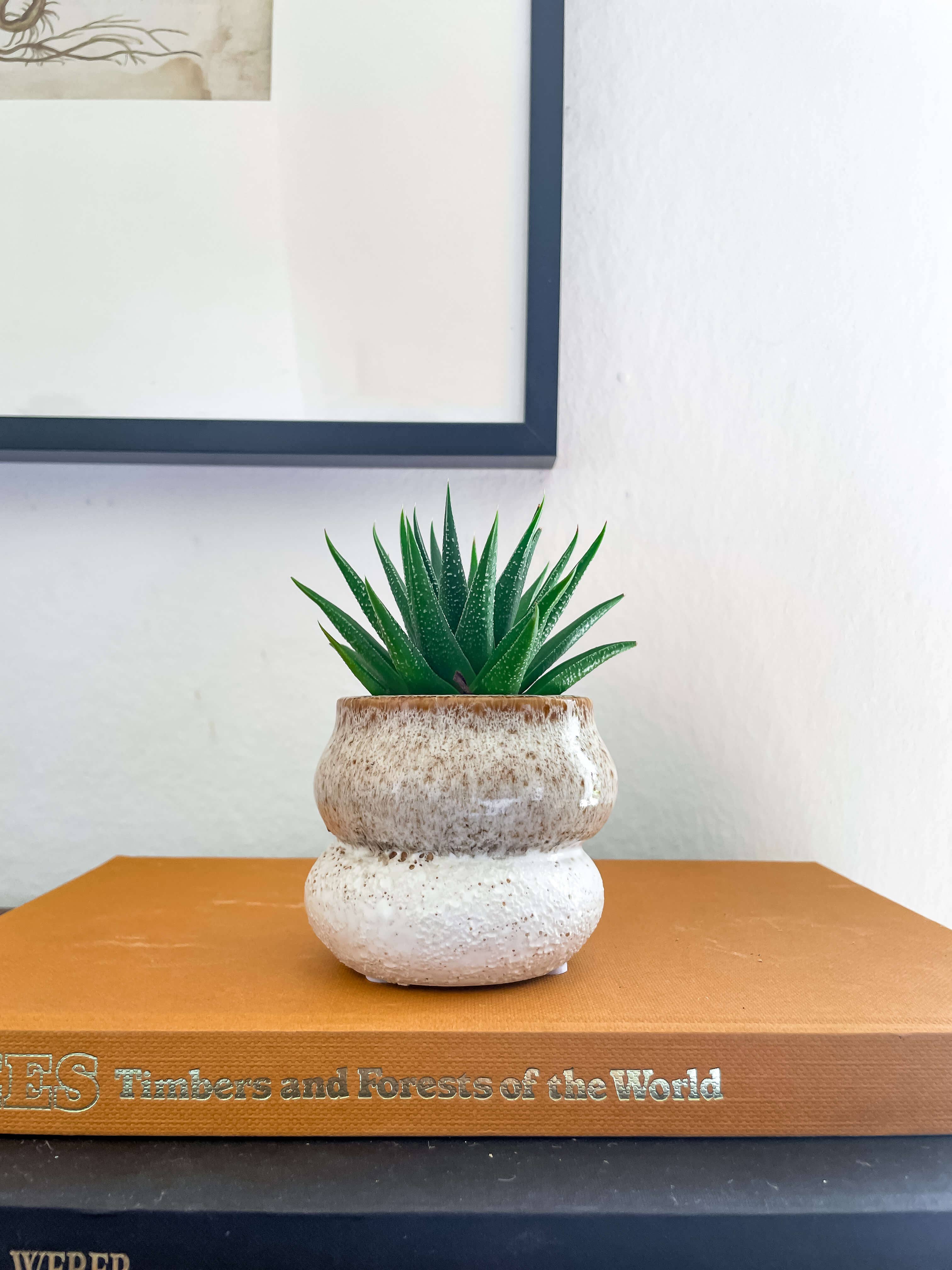 Noemi Planter – Stacked Ceramic Pot with Drainage: Medium 5"