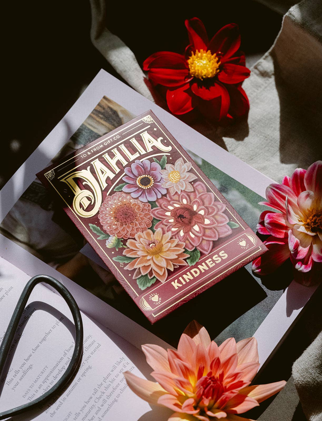 Seed Packet - Dahlia Flowers (Kindness) - Gold Foil