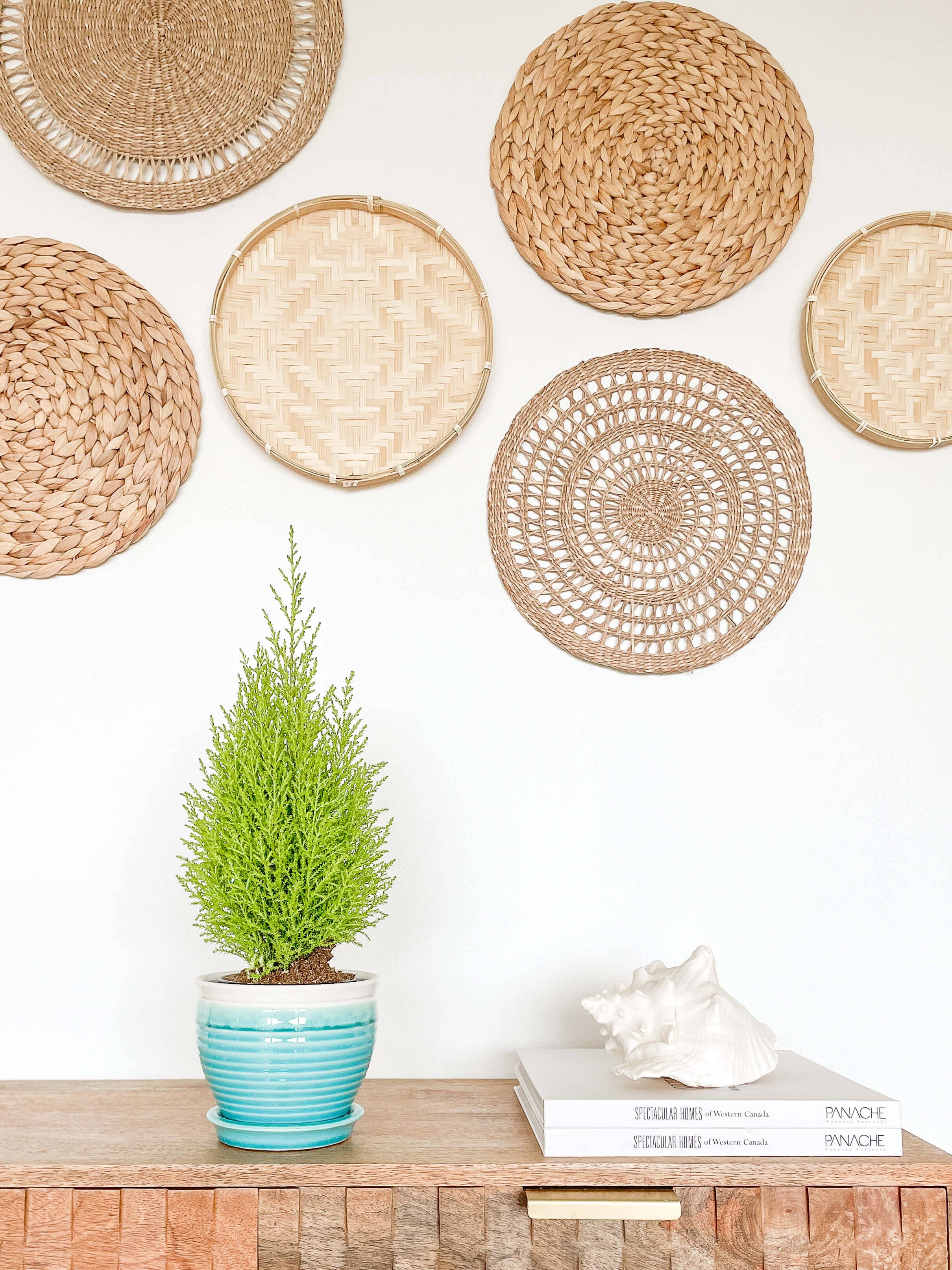 Lia Ceramic Planter Pot, Drainage Hole and Attached Saucer