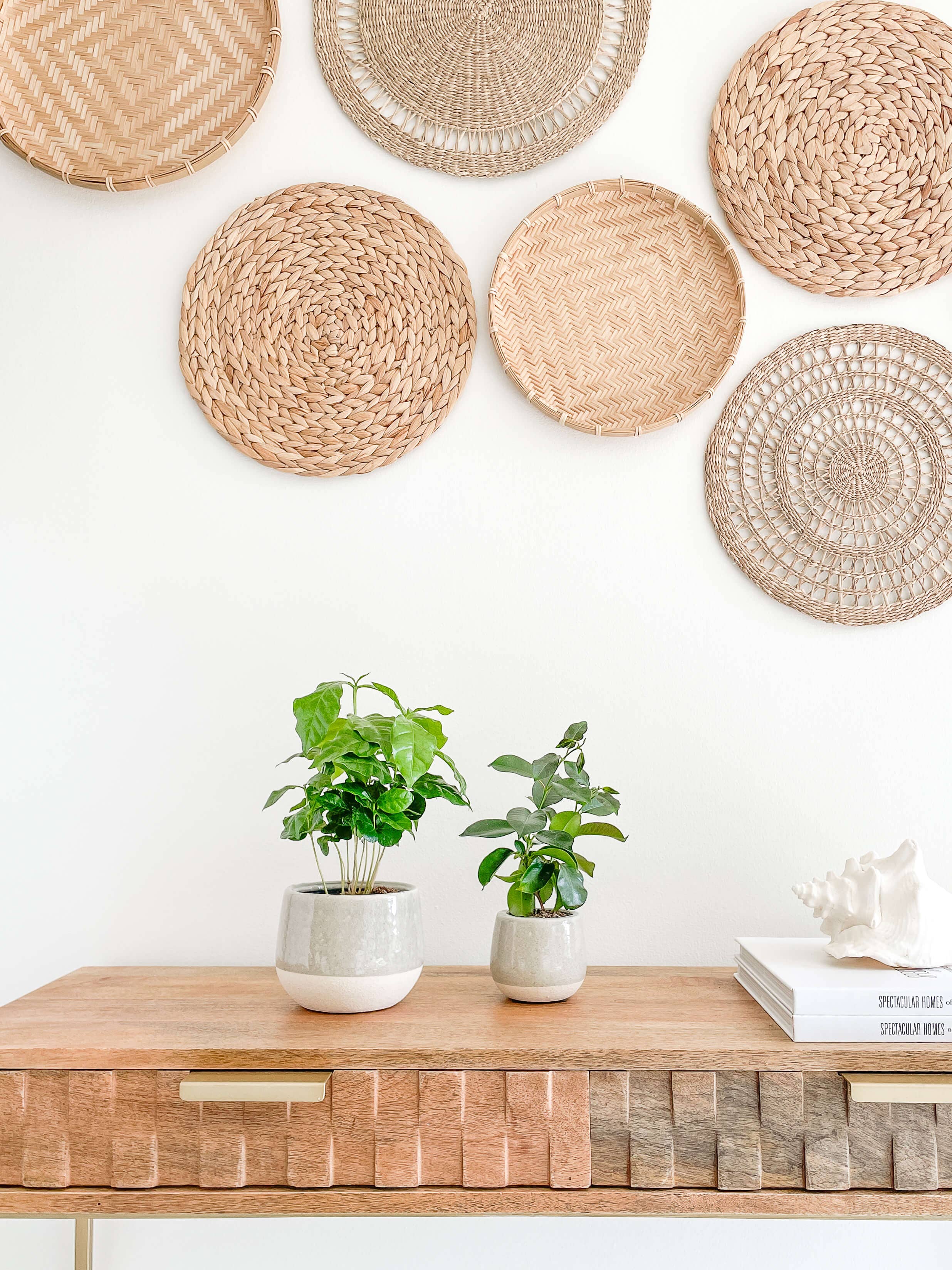 Mia Ceramic Planter Pots, Cracked Pattern Design Planters: Small 3.75"