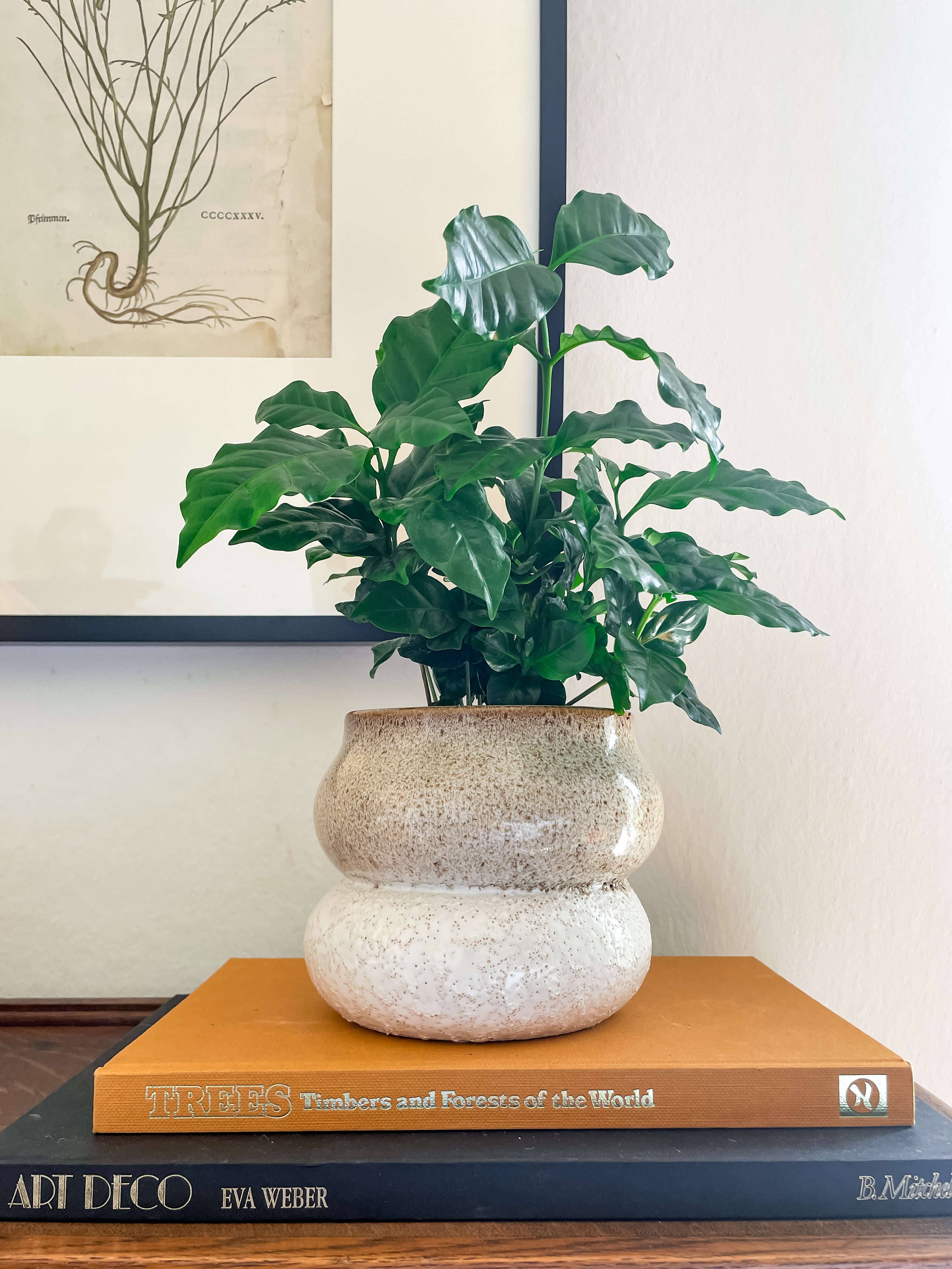 Noemi Planter – Stacked Ceramic Pot with Drainage: Medium 5"