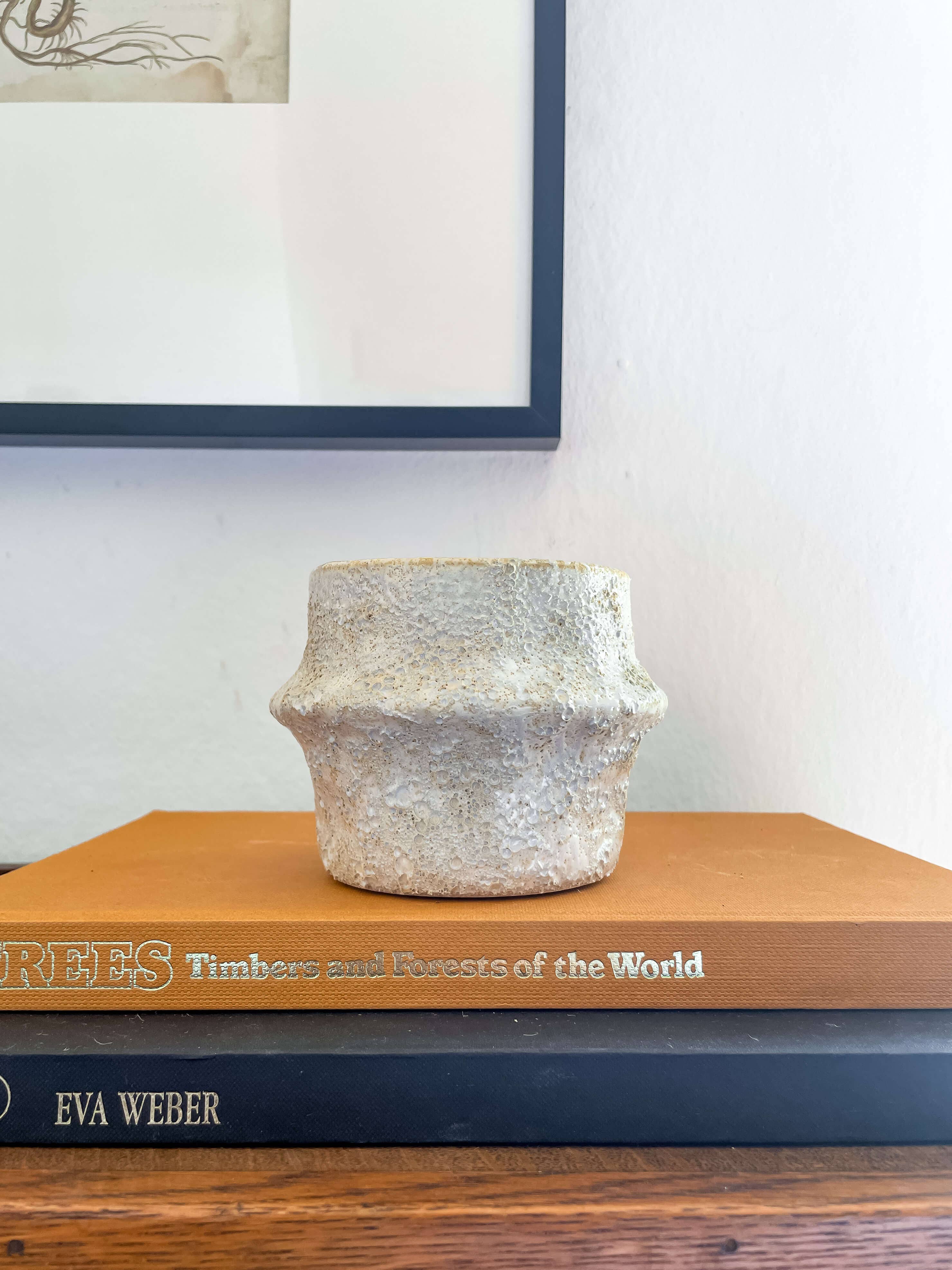 Solene Planter – Textured Ceramic Pot with Drainage: Medium 5.25"