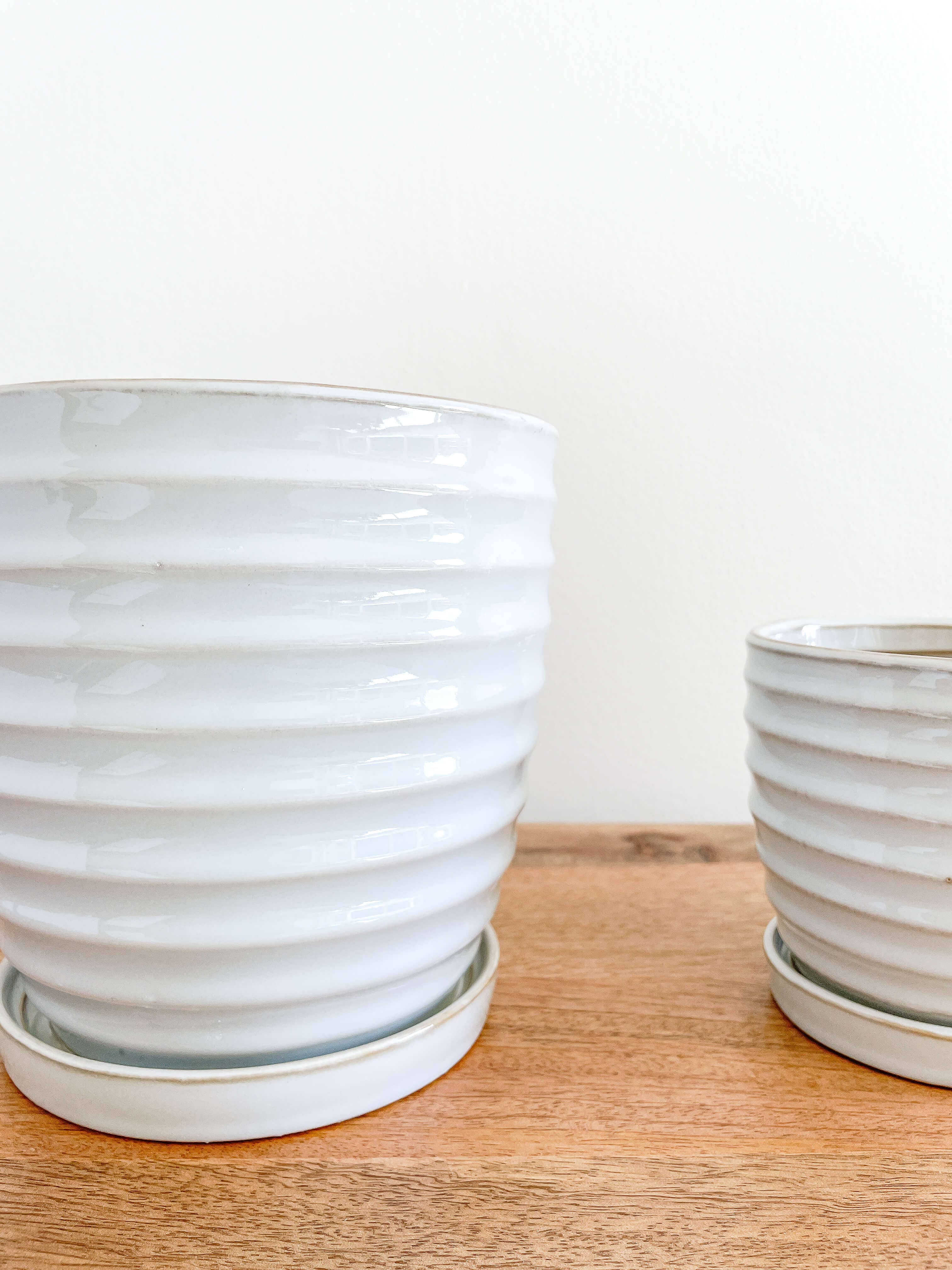 Nora Ceramic Planters Pots, Attached Saucer Drainage Hole: Medium 4.75"