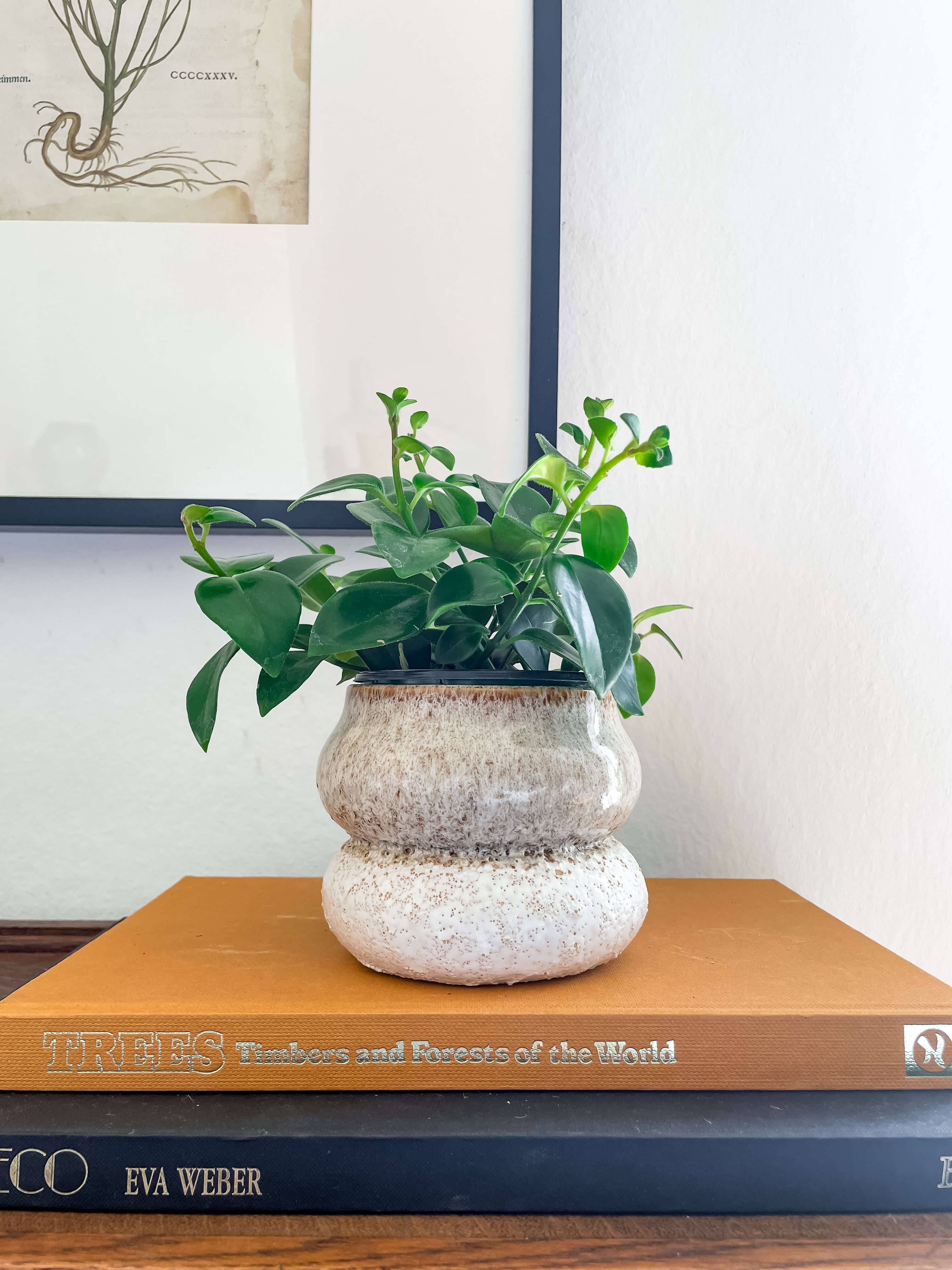 Noemi Planter – Stacked Ceramic Pot with Drainage: Medium 5"