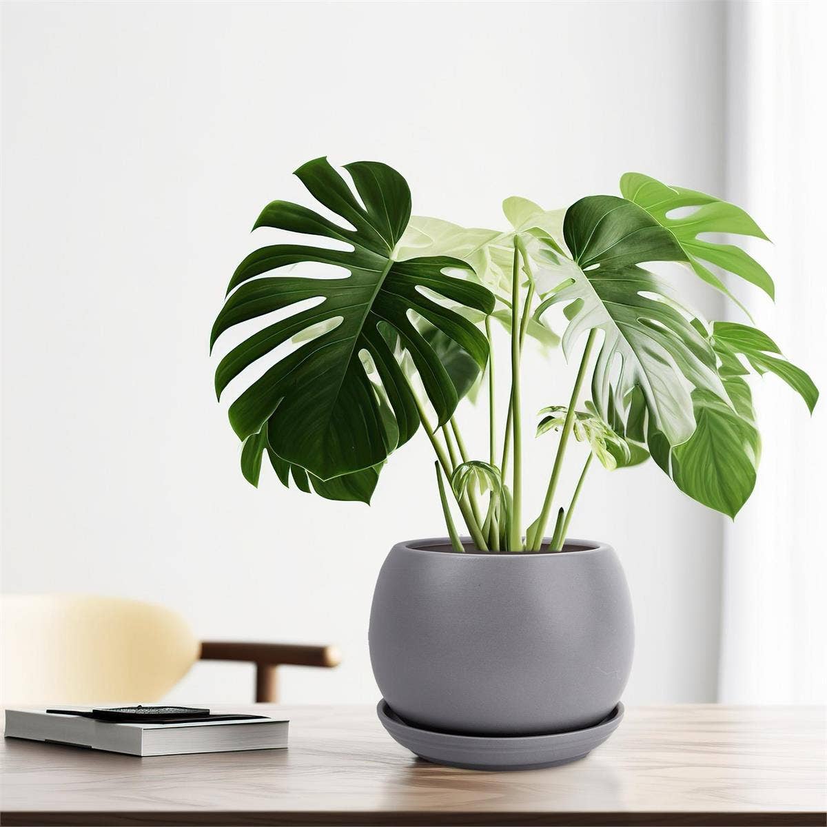 Truu Design Matte Ceramic Planter 6"D: Black