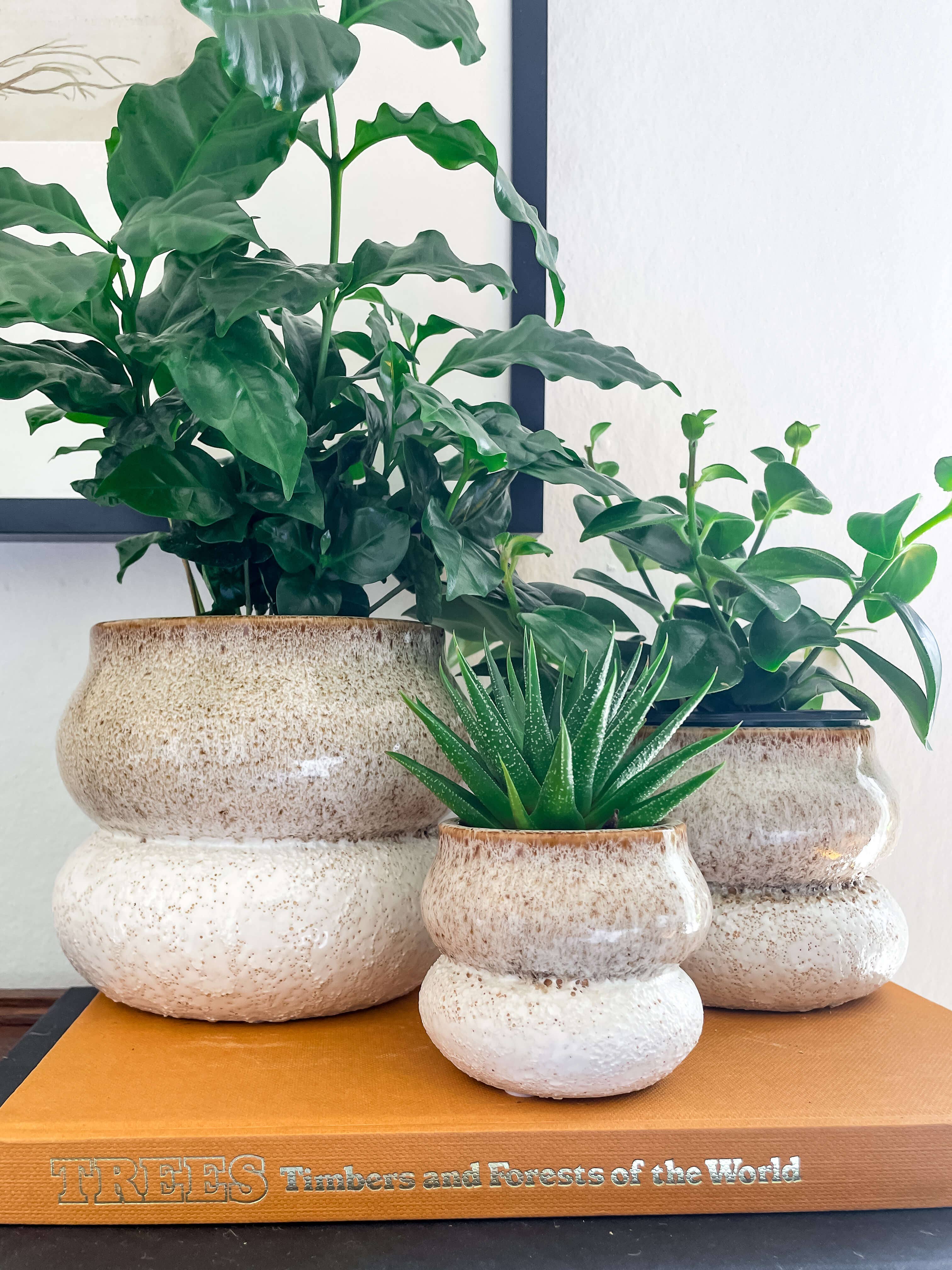 Noemi Planter – Stacked Ceramic Pot with Drainage: Medium 5"