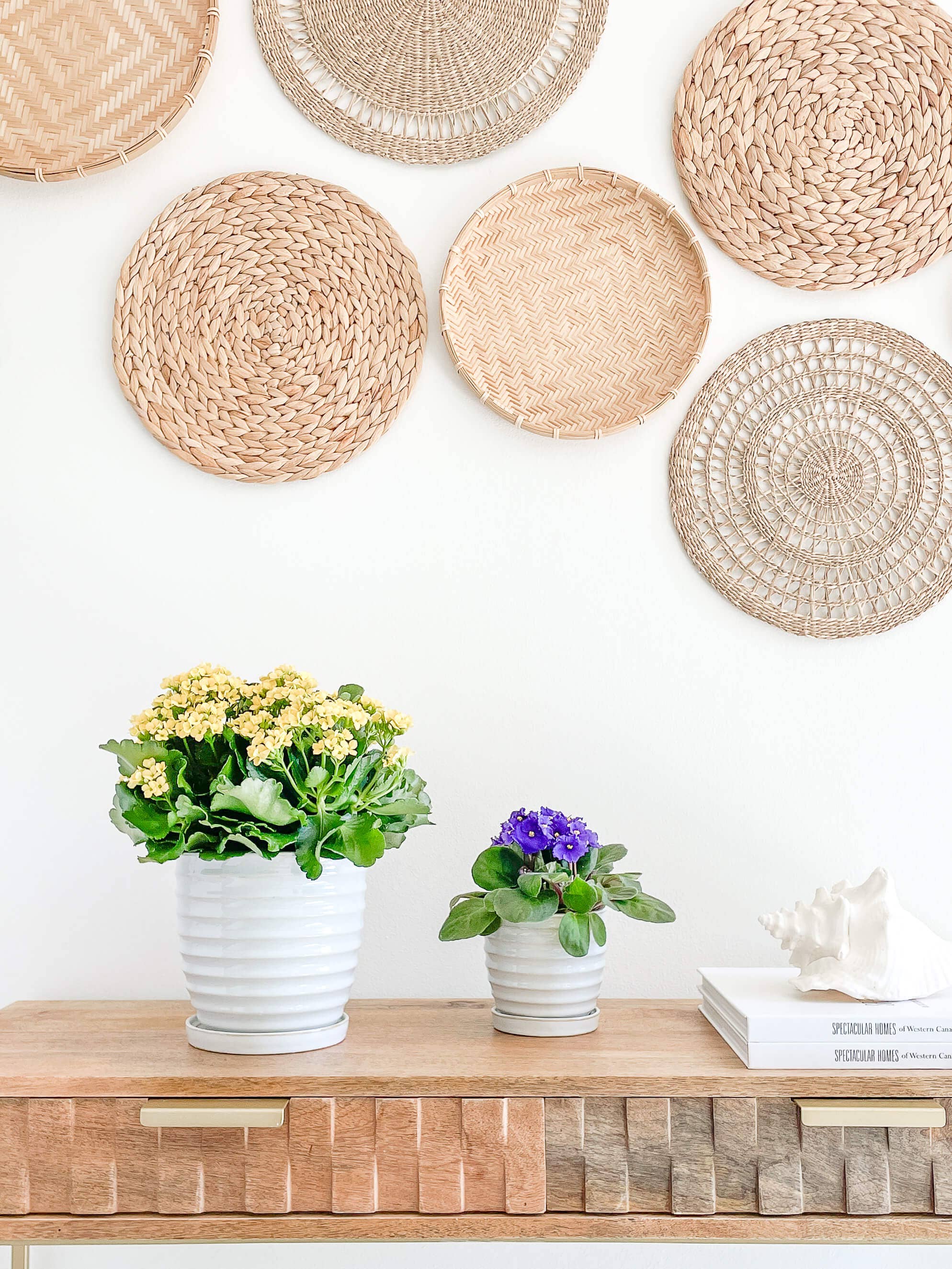 Nora Ceramic Planters Pots, Attached Saucer Drainage Hole: Medium 4.75"