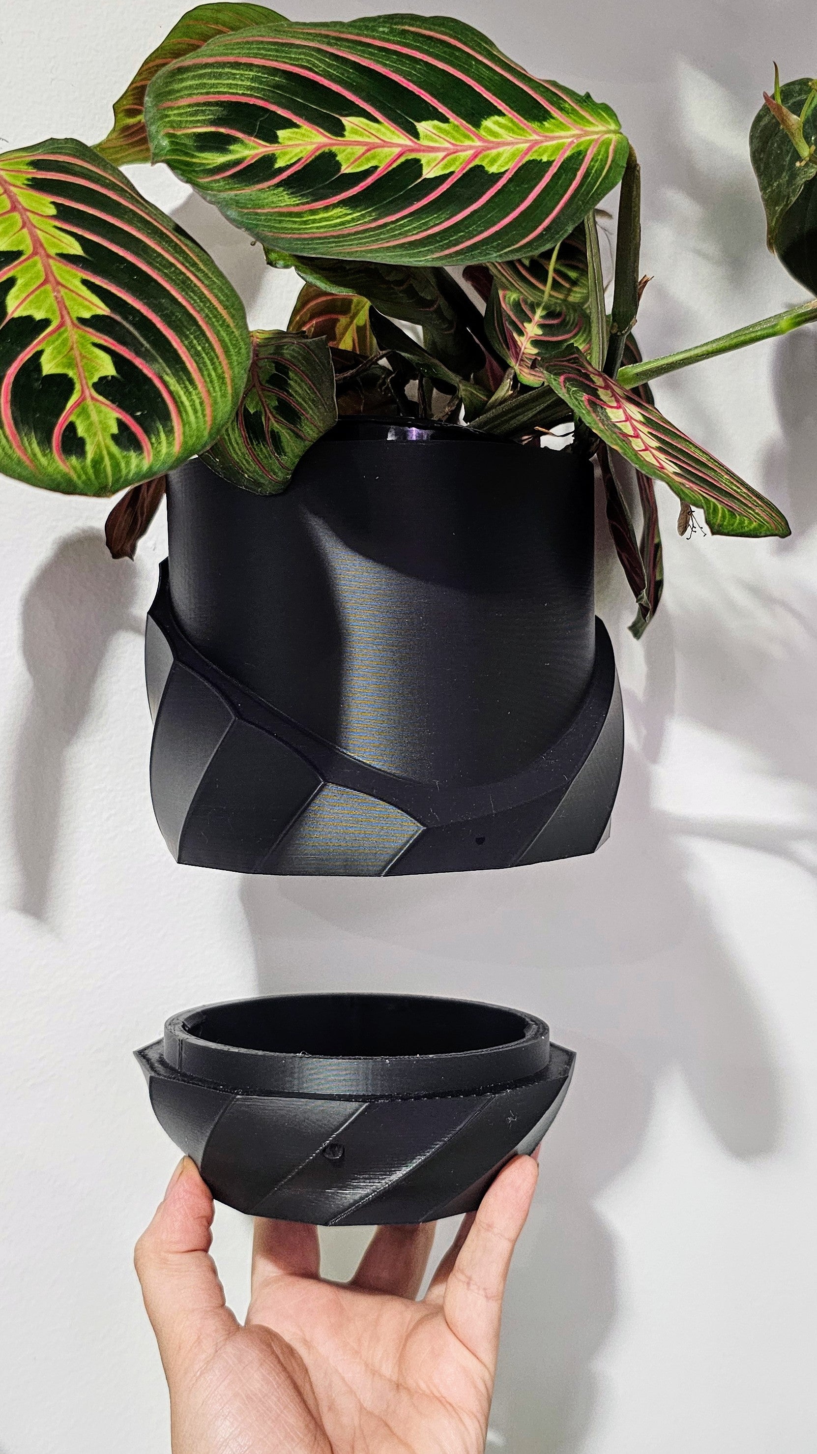 Cracked Spiral Planter- Custom Order