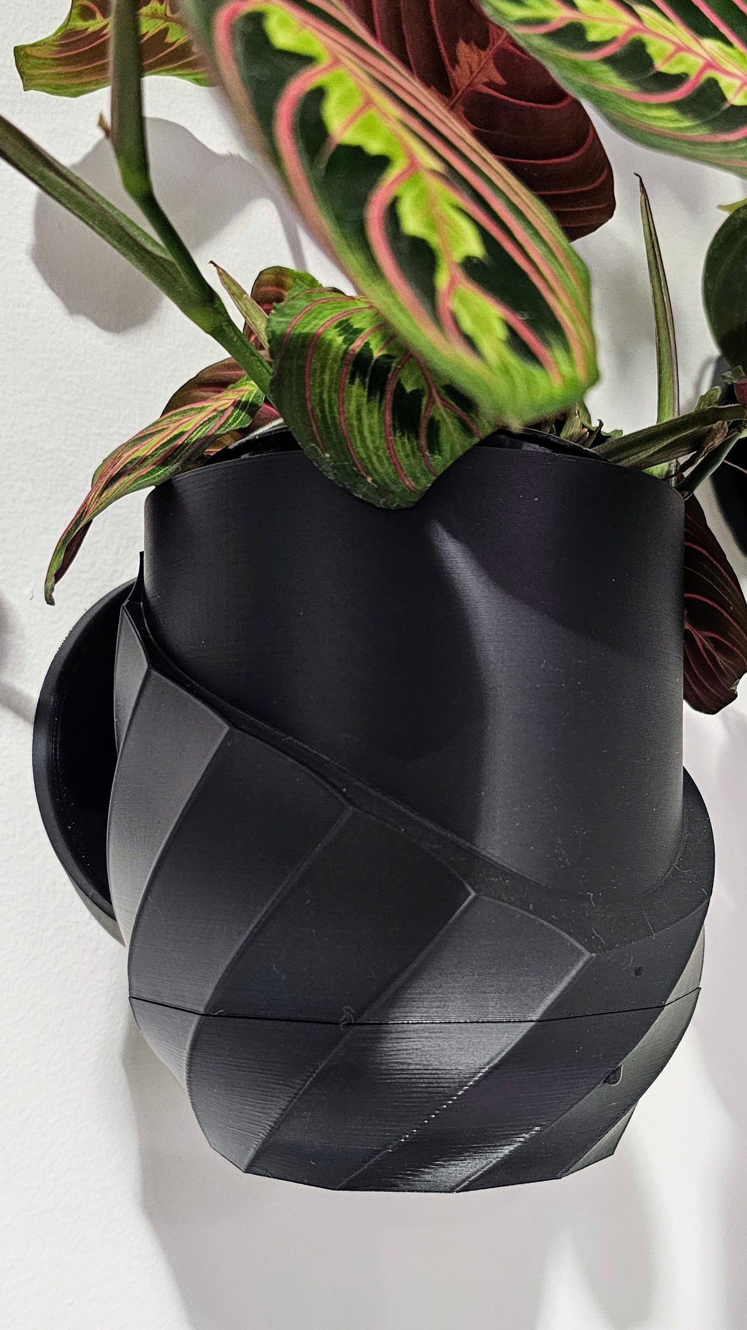 Cracked Spiral Planter- Custom Order