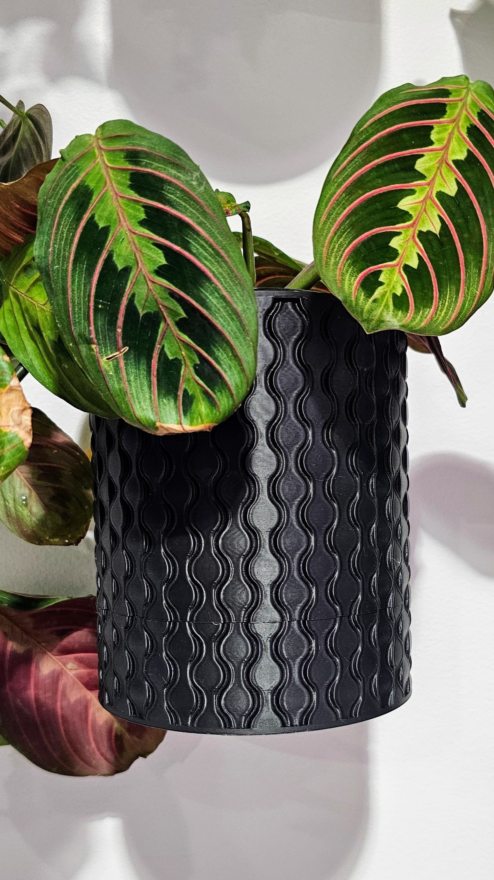 Raindrop Planter - Custom Order