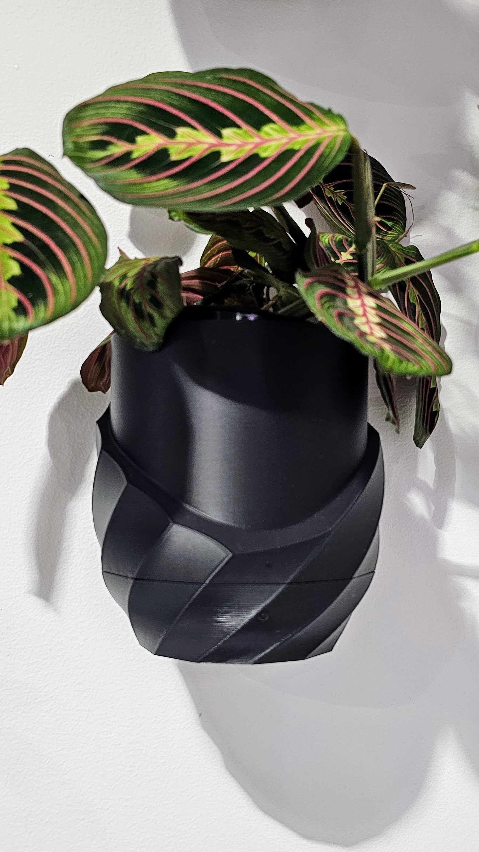 Cracked Spiral Planter- Custom Order