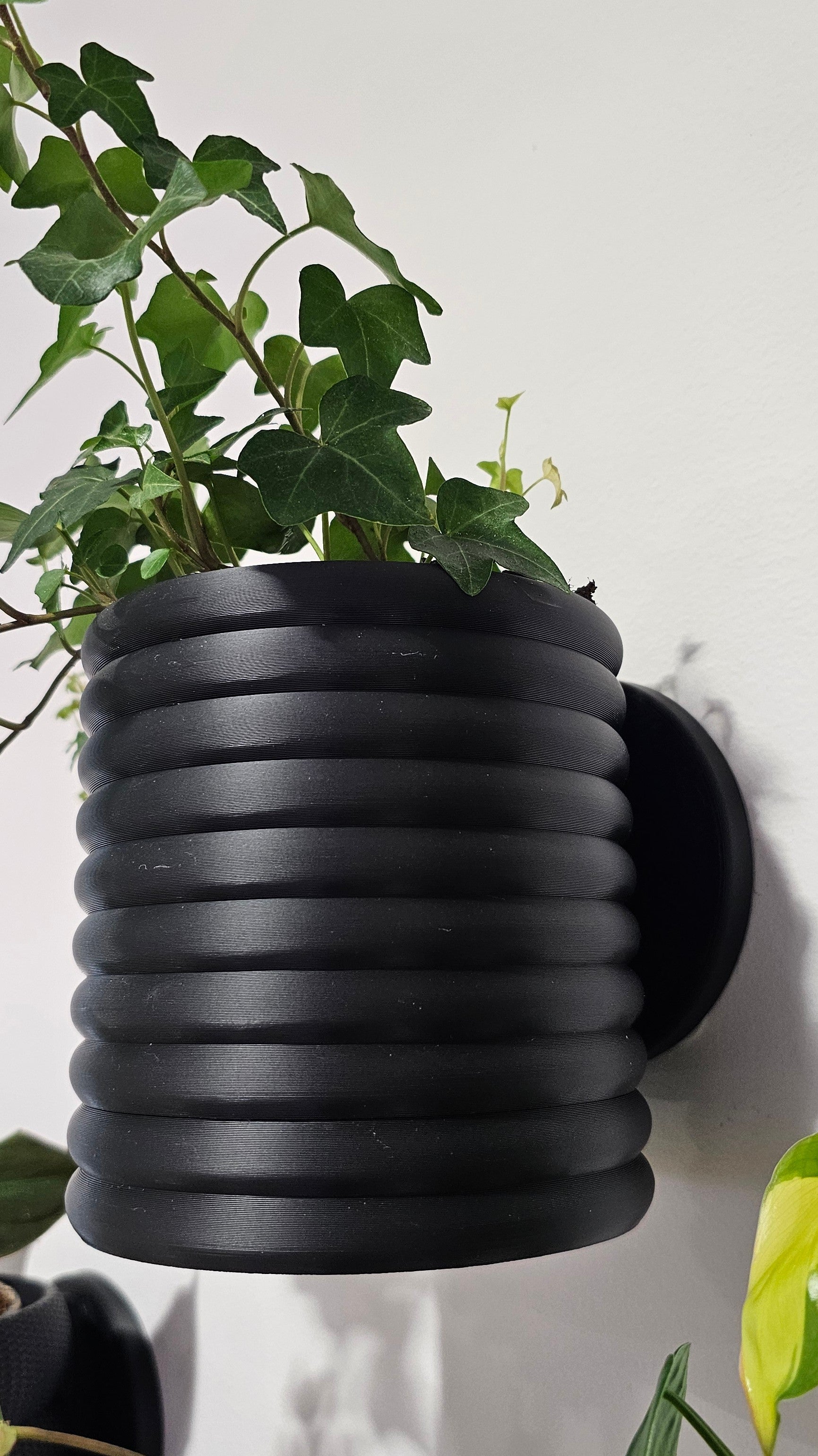 Rippled Planter - Custom Order