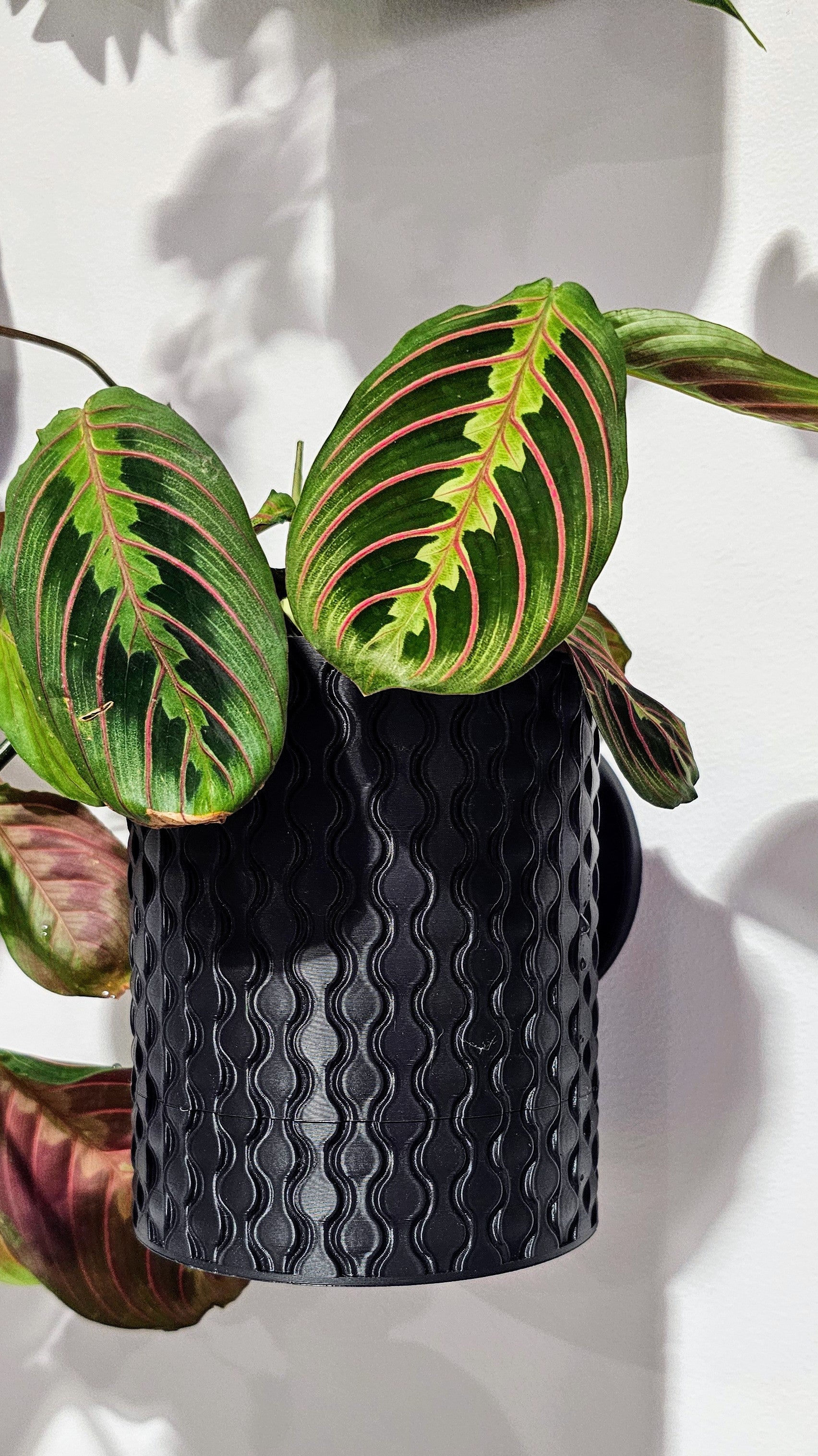 Raindrop Planter - Custom Order