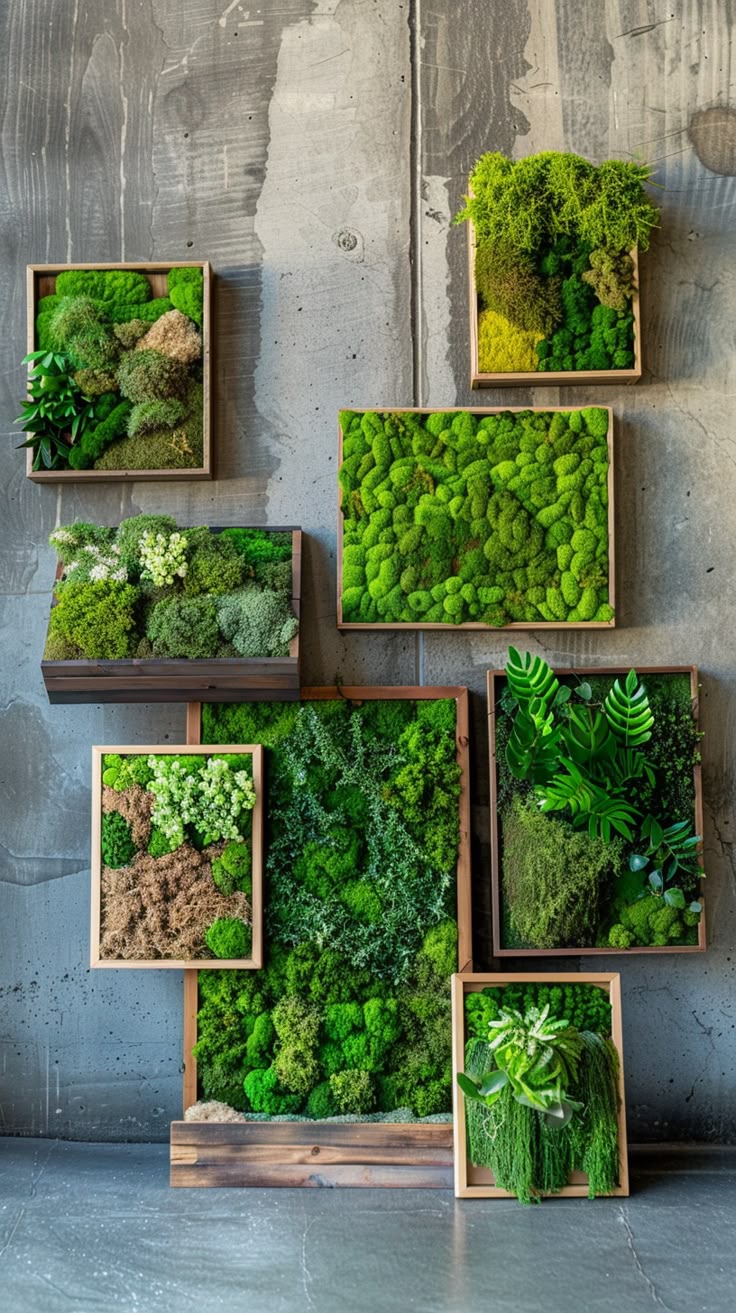 Moss Art