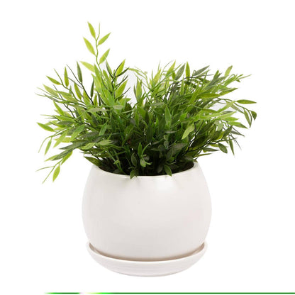 Truu Design Matte Ceramic Planter 6"D: White