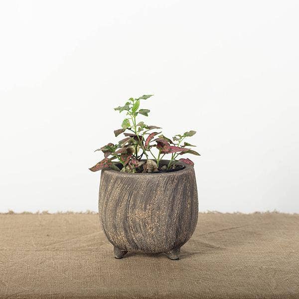 Cement Flower Pot, Small