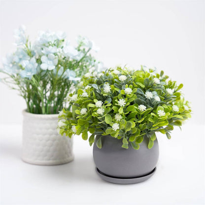 Truu Design Matte Ceramic Planter 6"D: White