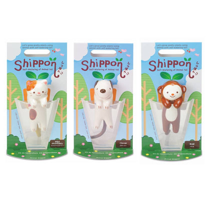 Shippon - Assorted 3 Colors/Styles