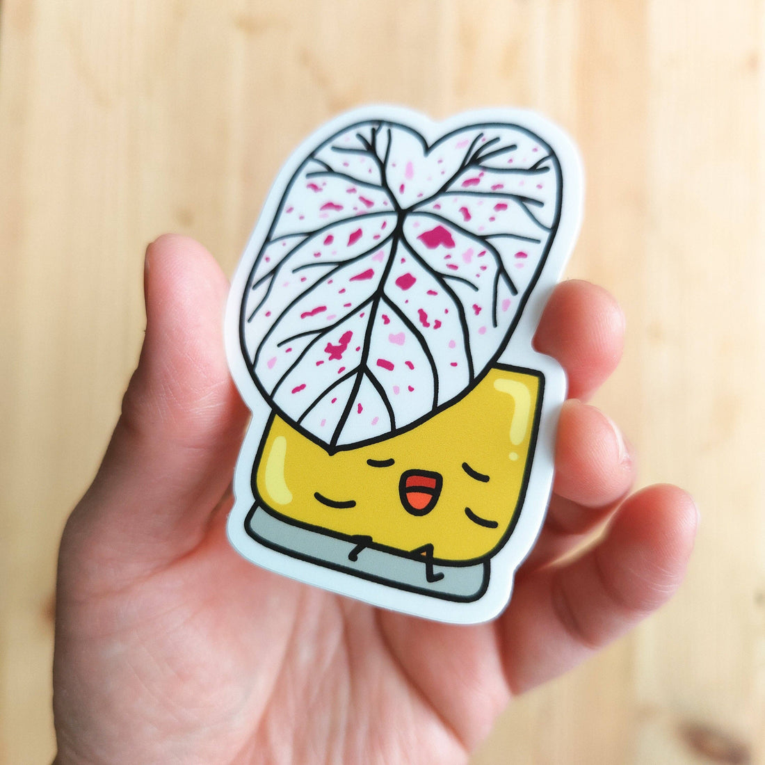 Caladium Cranberry Star Vinyl Sticker