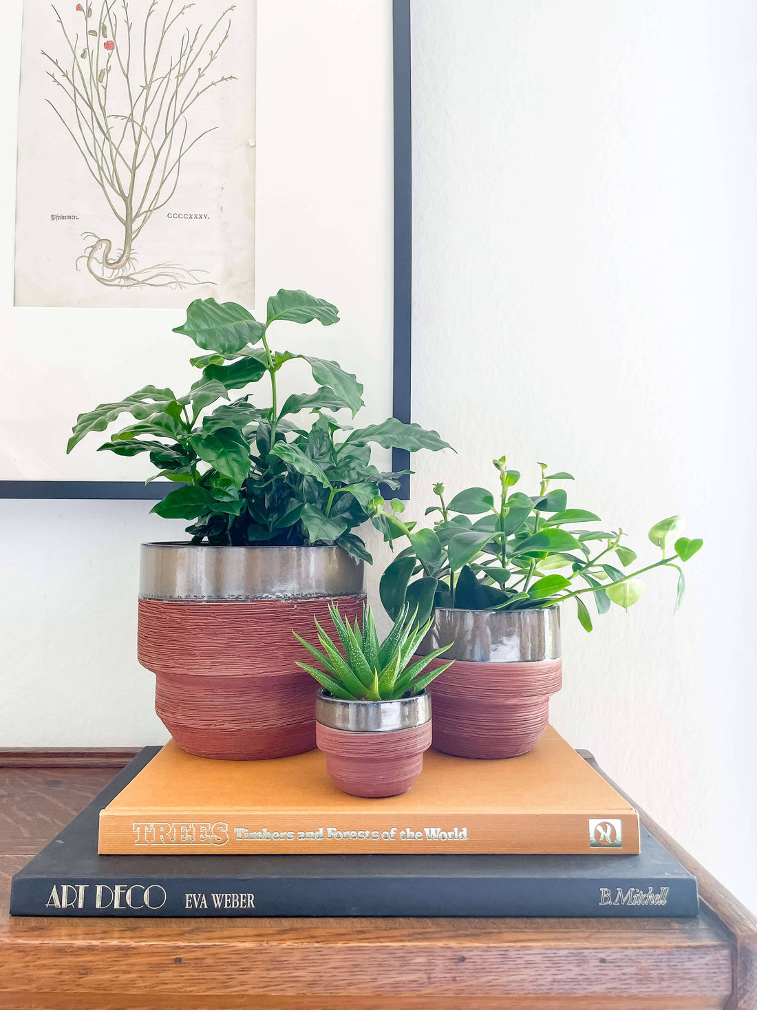 Freya Planter – Two-Tone Ceramic Pot with Drainage: Medium 5&quot;