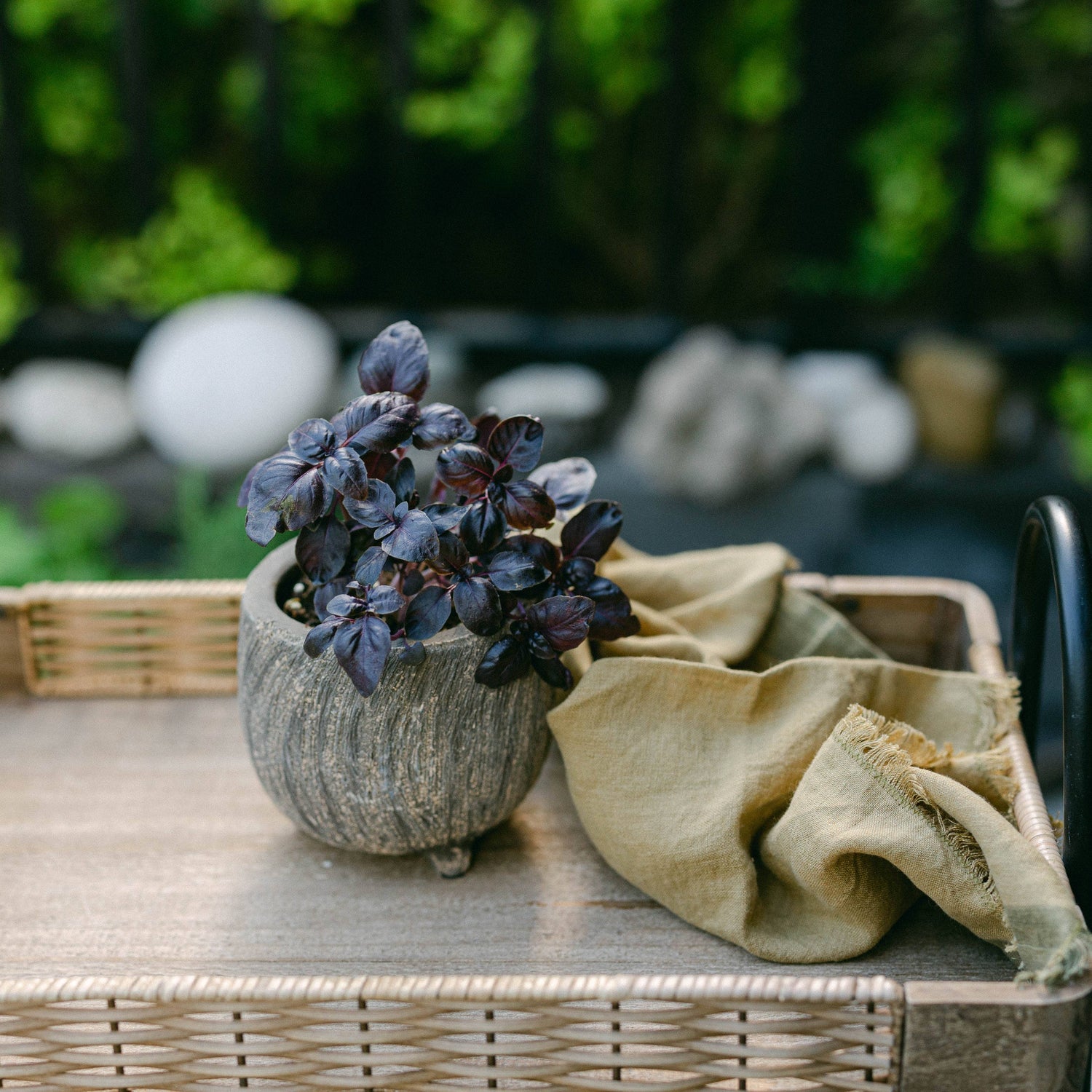 Cement Flower Pot, Small