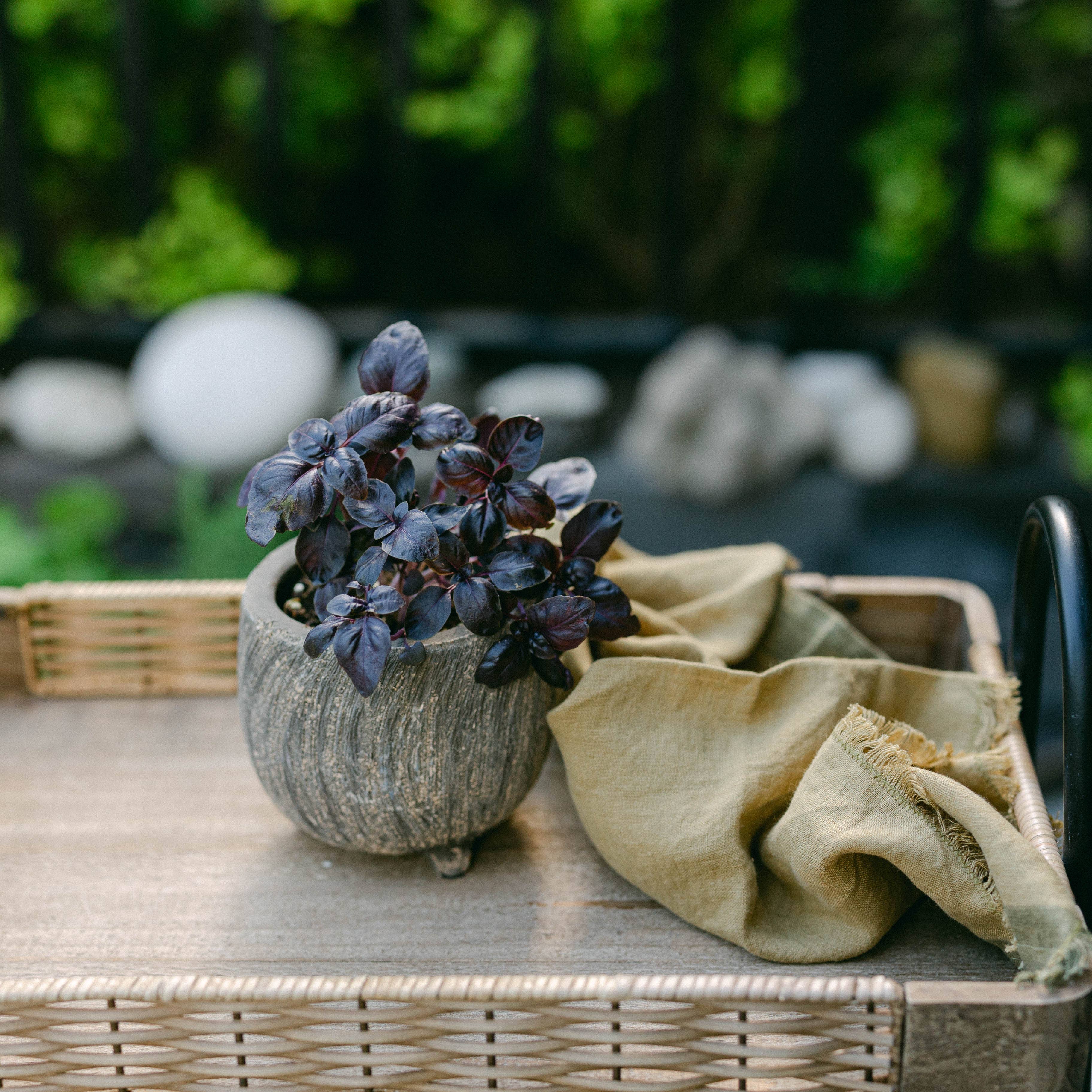 Cement Flower Pot, Small