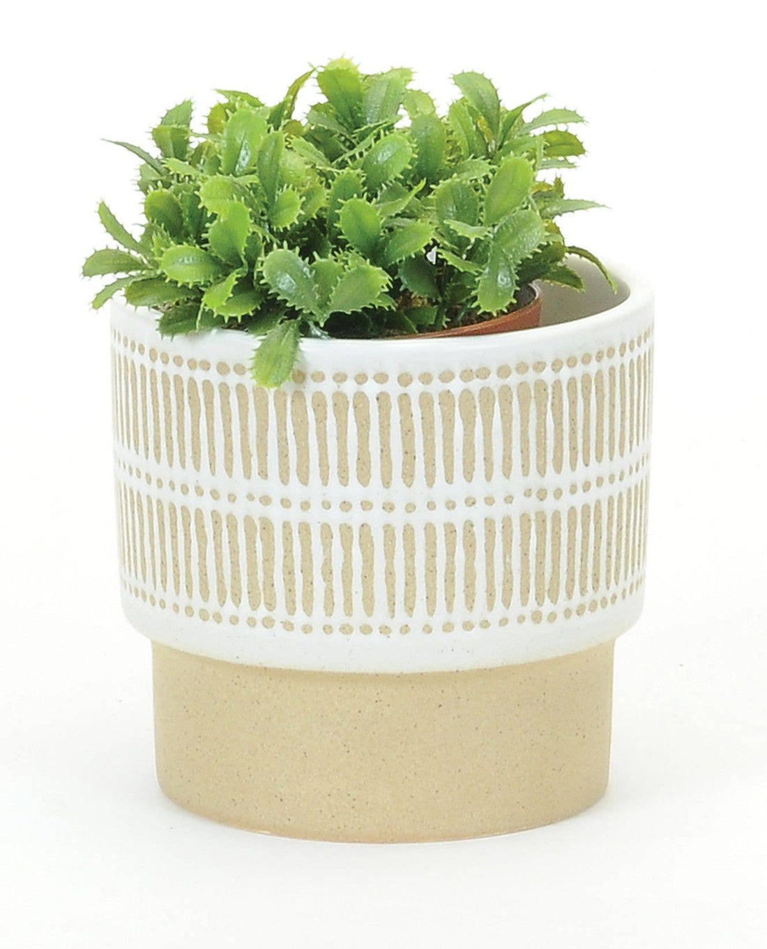 Med Decor ceramic Pot