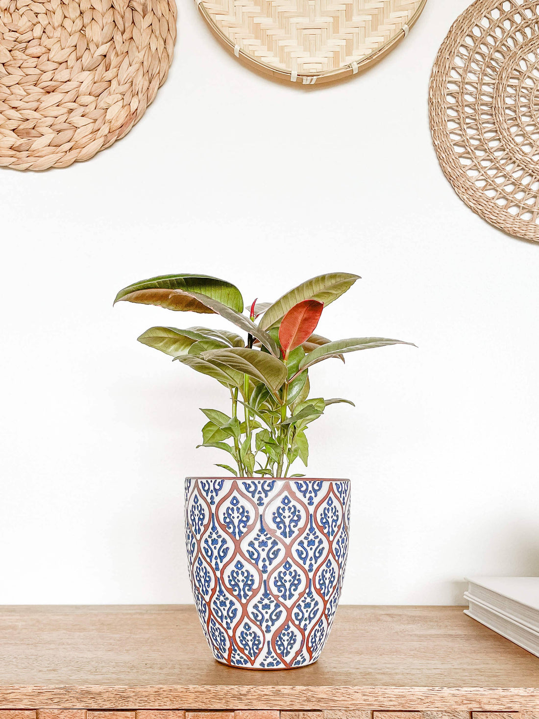 Amara Ceramic Planter Pot, Unique Pattern Plant Pots