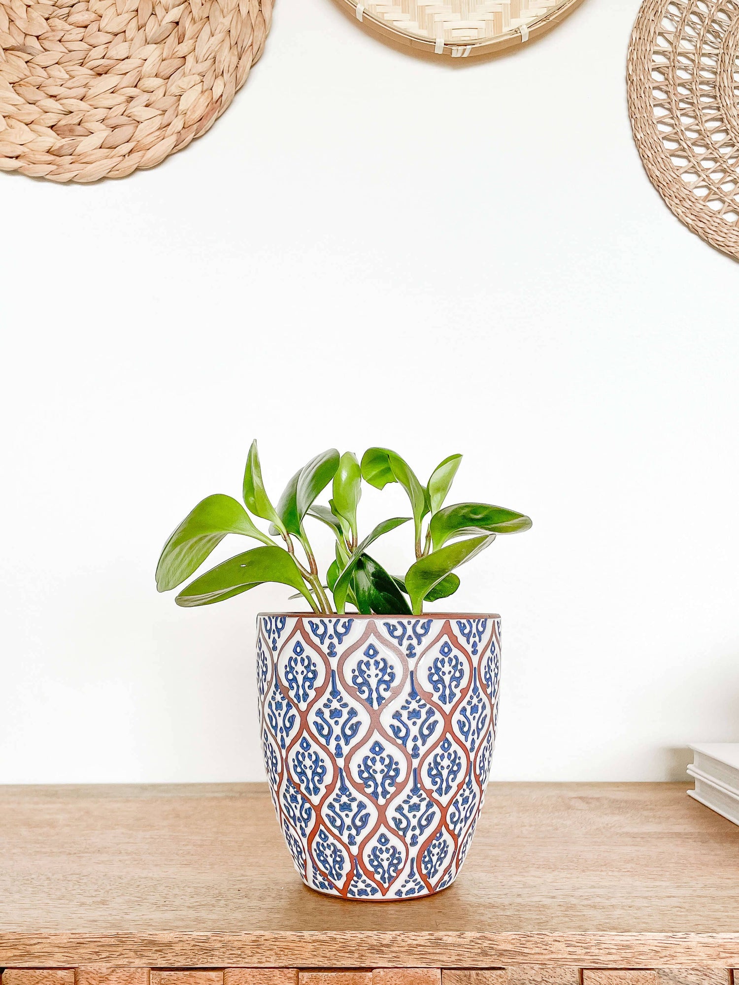 Amara Ceramic Planter Pot, Unique Pattern Plant Pots